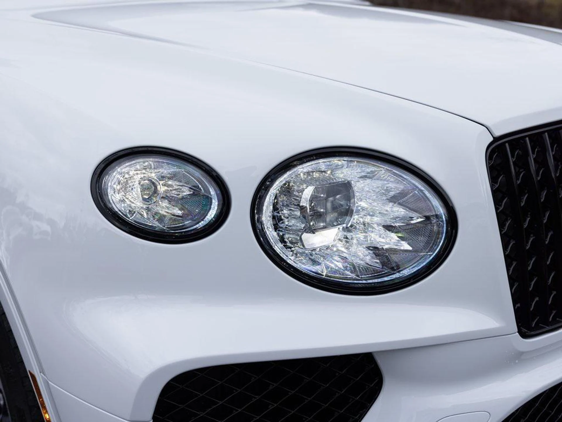 mph015_107869678_403809831_67c233e26b5617b02de63635_a25a5c8149