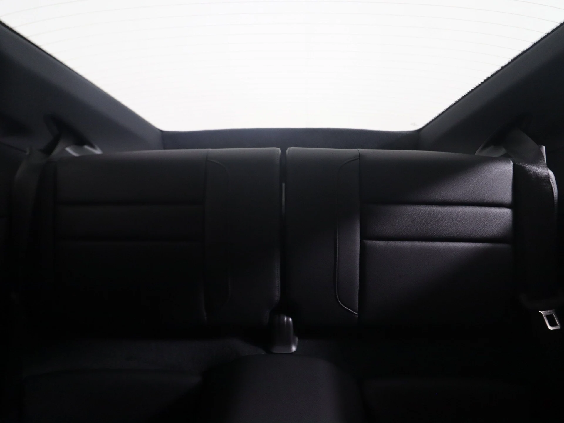 mph015_1091527250_0c900b4f7f9f4b52309203eb81156621x_767af6738b