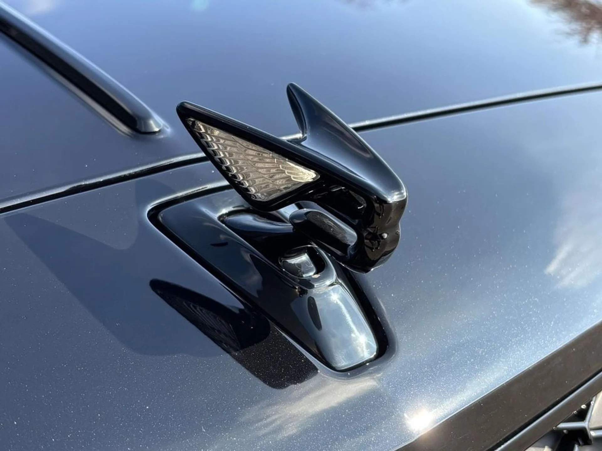 mph015_1124151676_a7bbd22efcb96c7efd0e22f5a343d776x_9502be2fb9