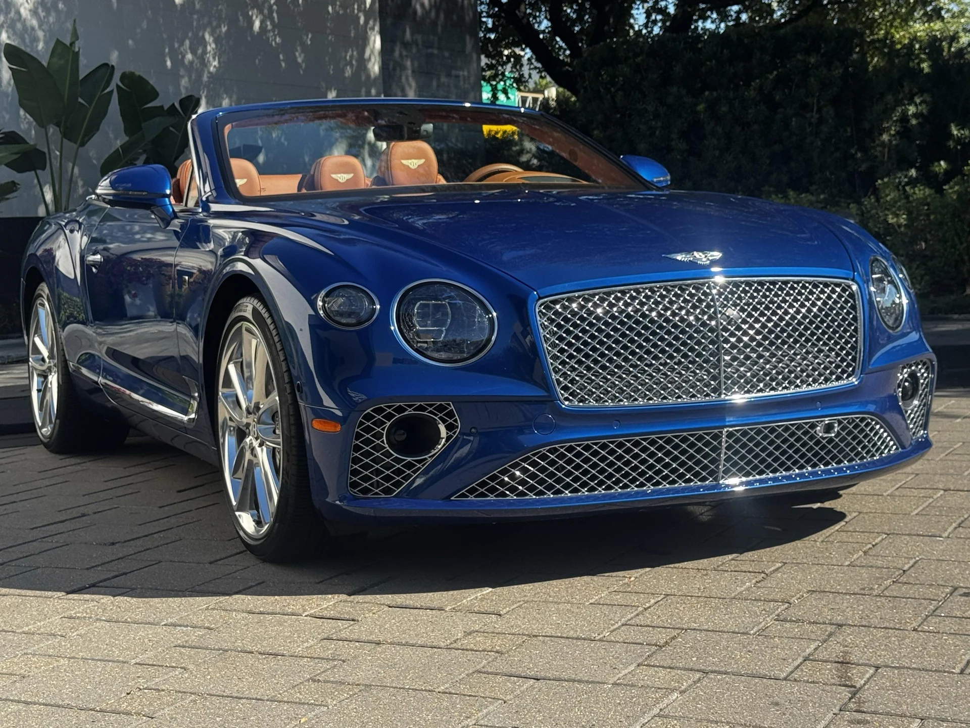 mph015_12153345_476641184_6926a346350c91ed78cfa5b9_9a5493d289