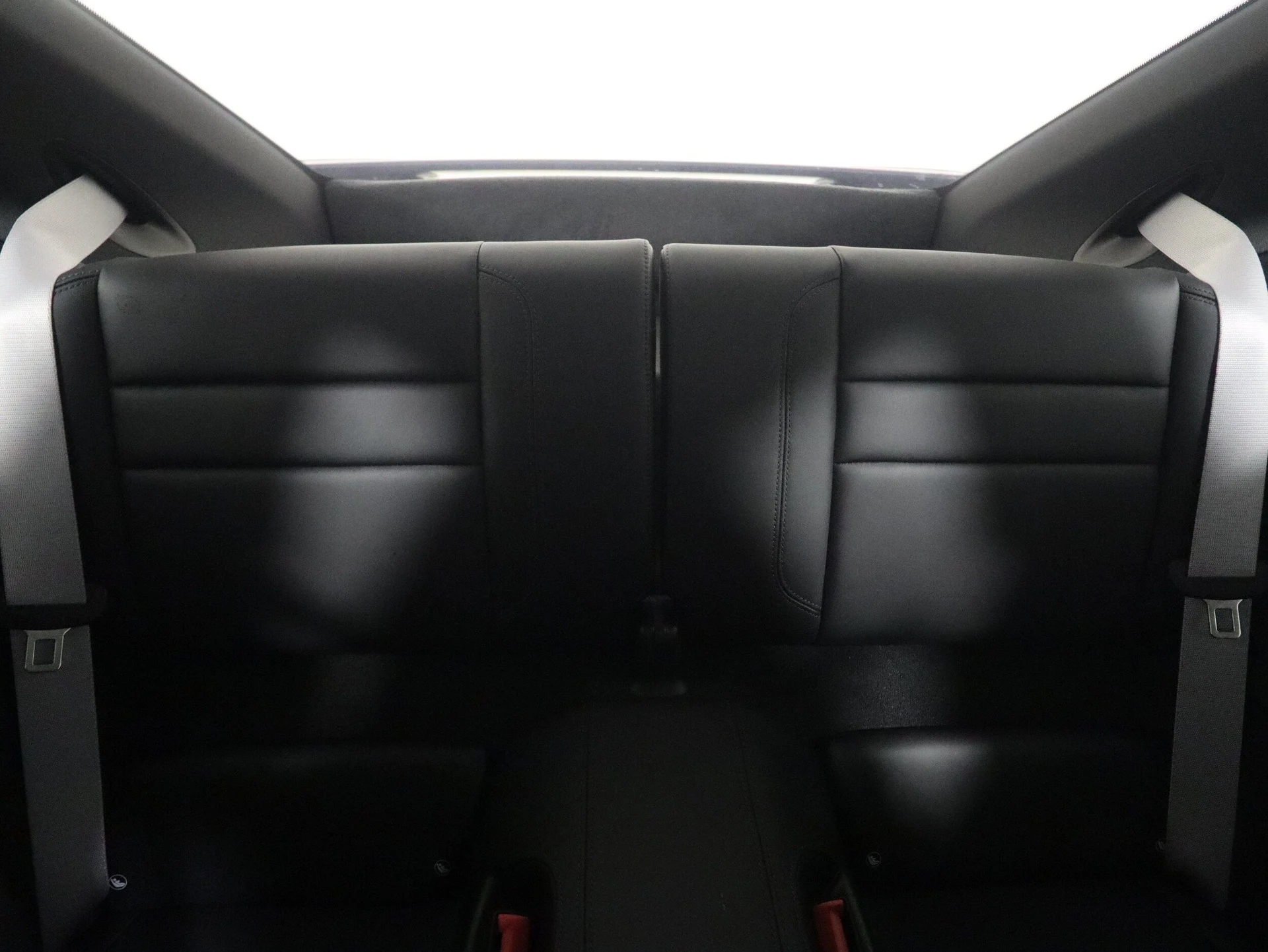 mph015_1267412497_358d5dabe6ef798762c8af012ea0deeax_80c004e603