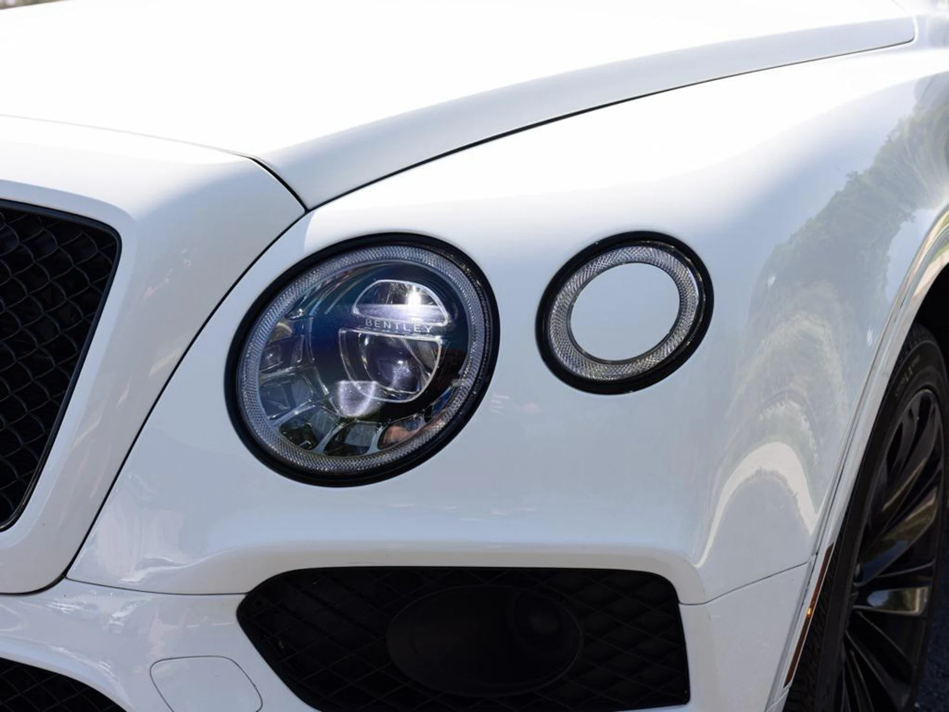 mph015_1307401057_453535946_68c545ad866a66fdd6c4474c_e4f4063c3f