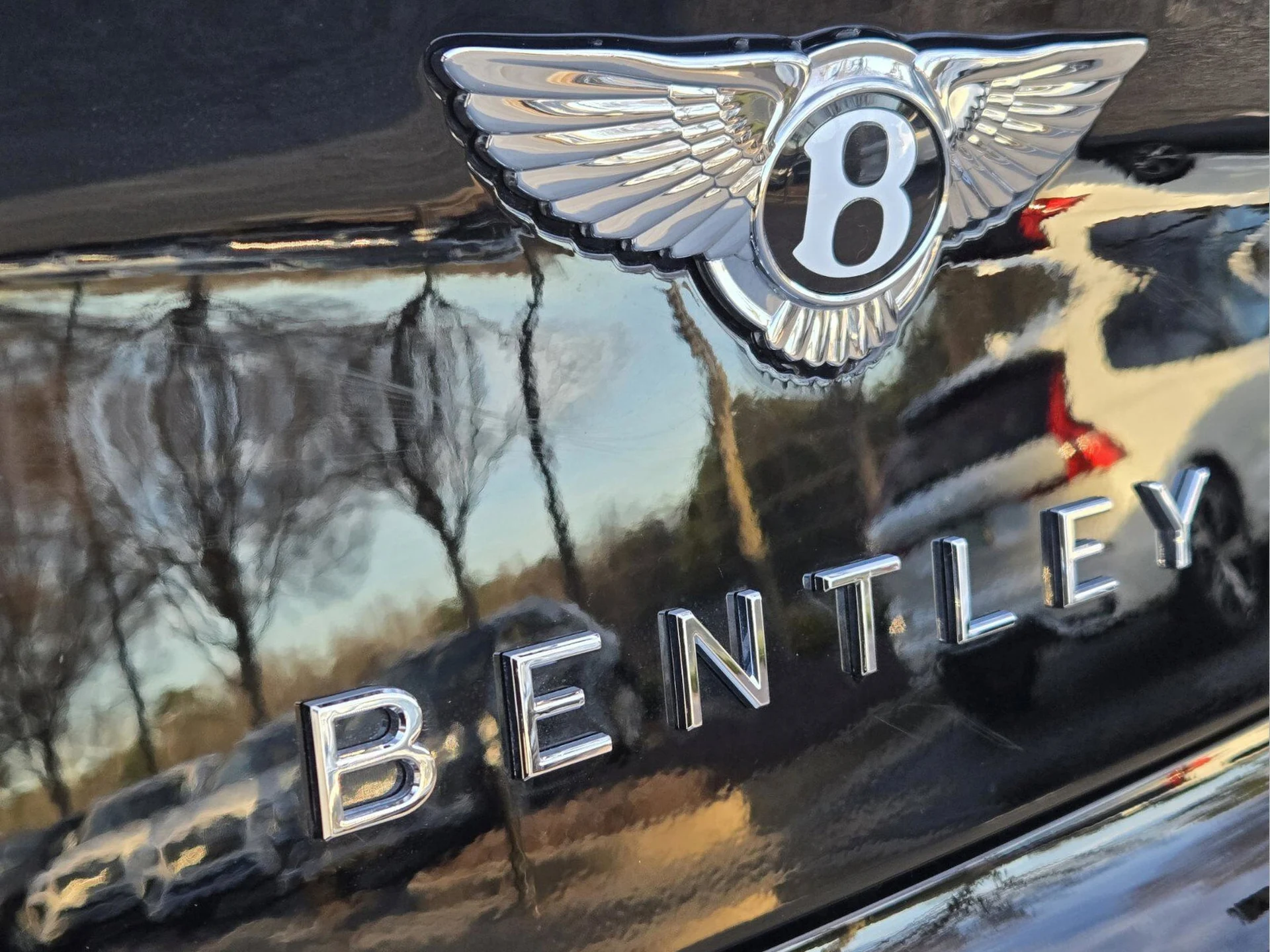 mph015_1442329105_9caf7da70a39249e93cd3d2a6d447910x_6df8d90450