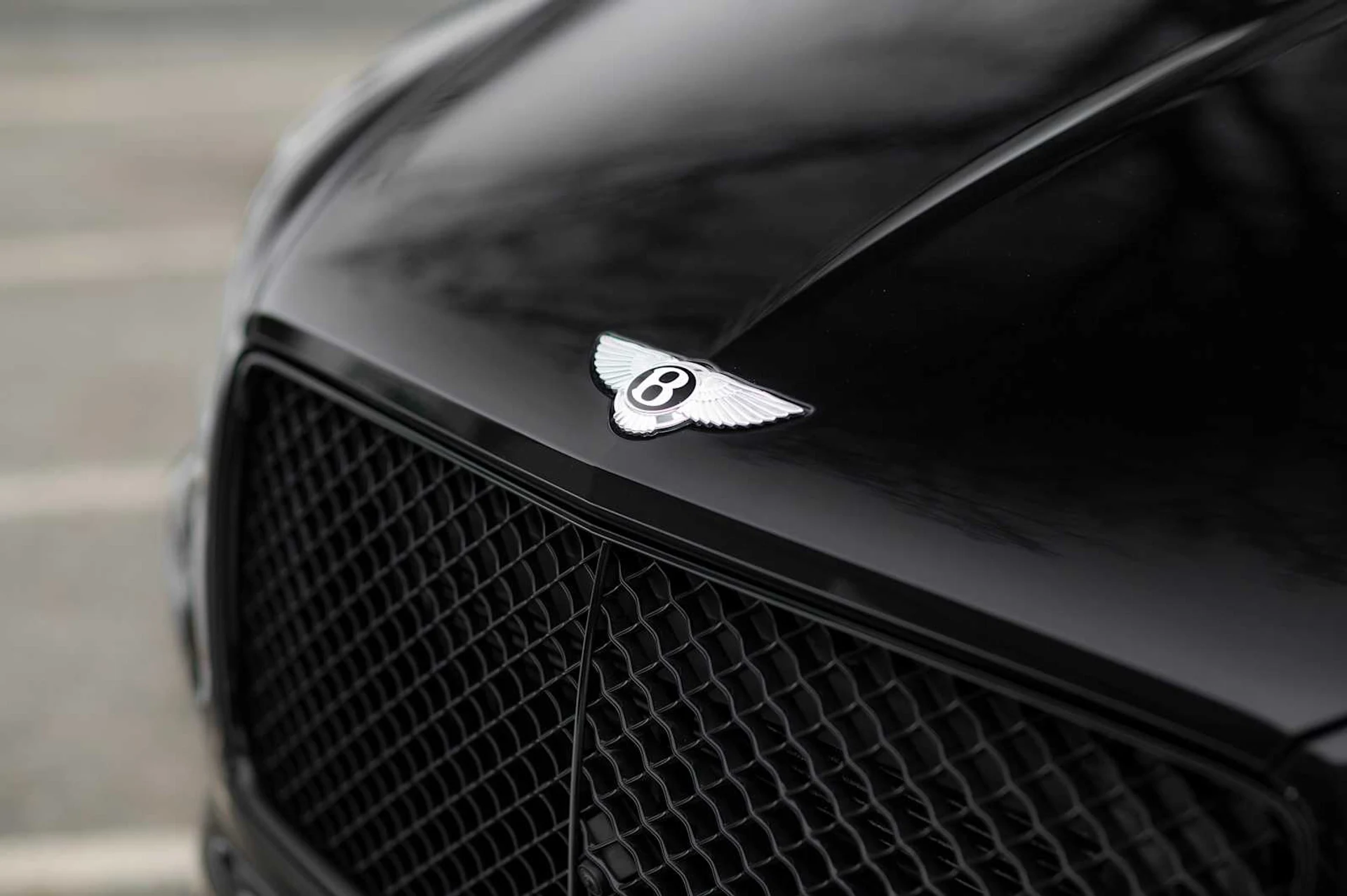 mph015_1512682689_93e885c57e9cb68cab3831f55ba0b279x_d1c7c1464b