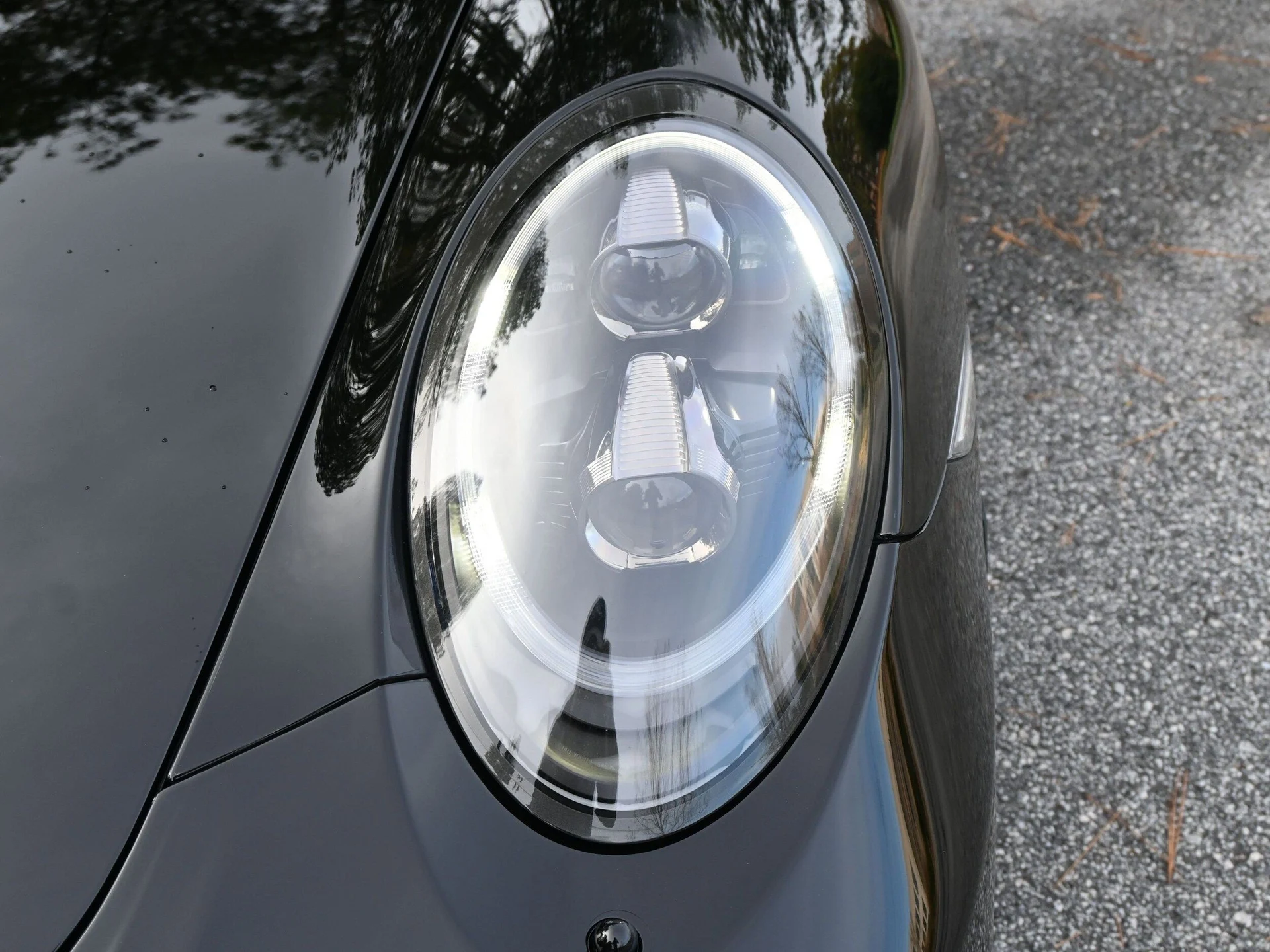 mph015_1575296836_83fb7578ab340fbdf4f70c9a5a9be241x_bb5e5807a9