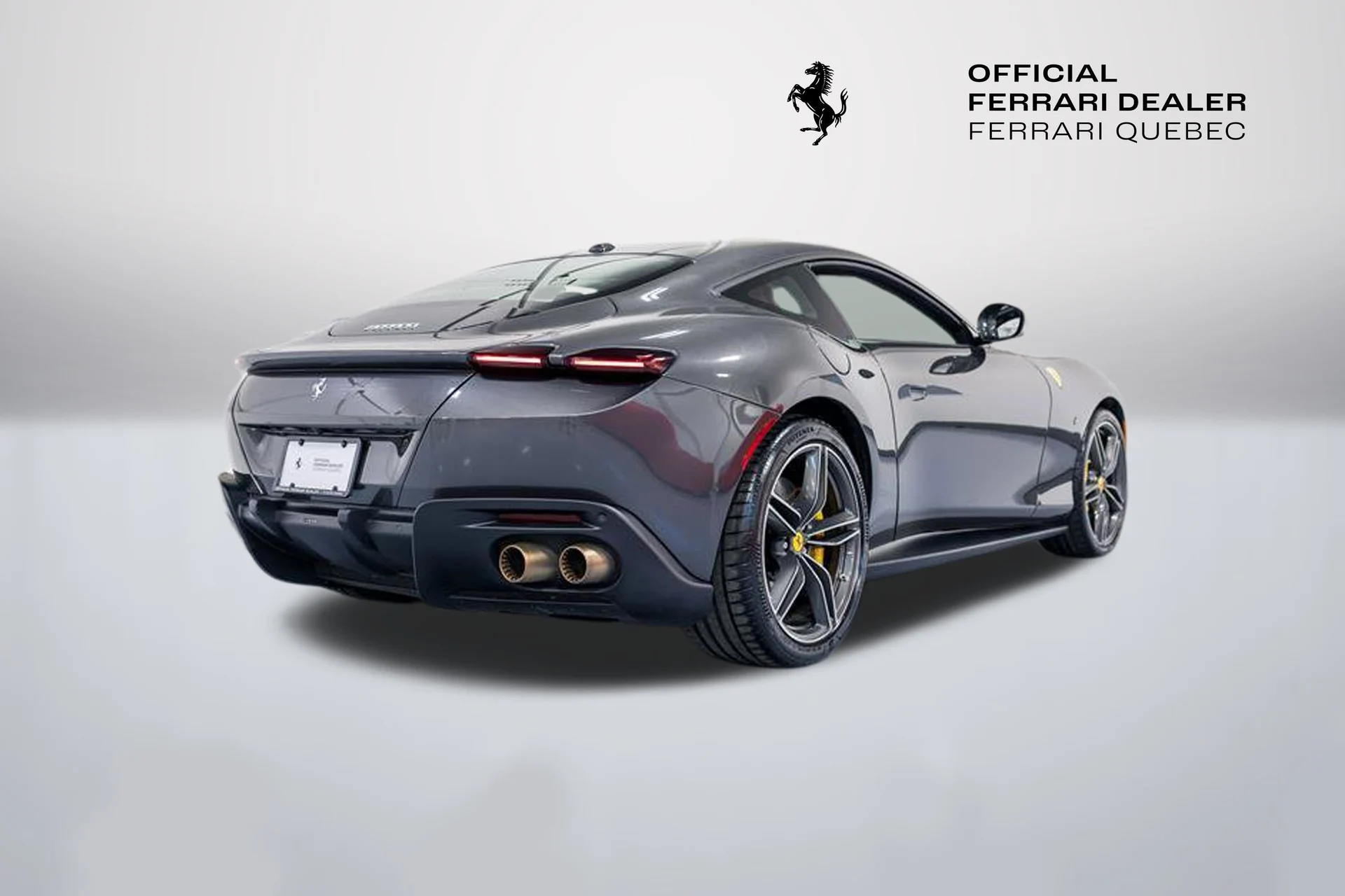 mph015_1697697672_bc0e4439263c46588ccd8933ef8b5228_40309dc532