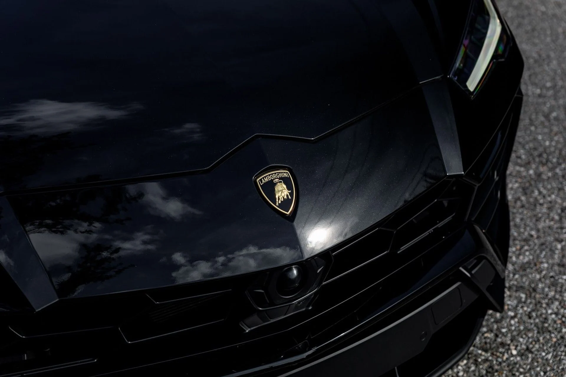 mph015_1703764652_624_p16_l_4068673f74