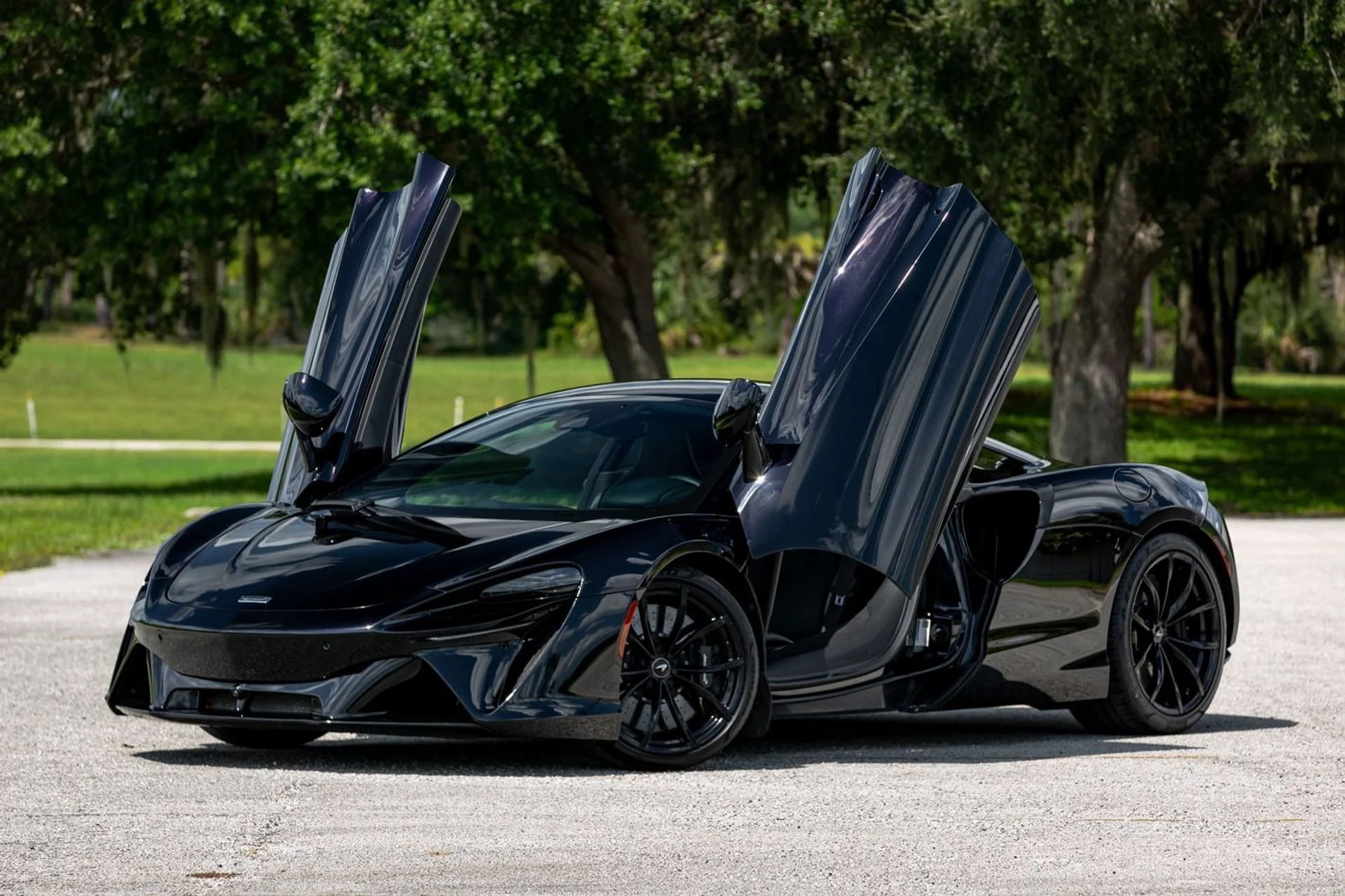 mph015_1747800676_440_p16_l_6592cb1d9b