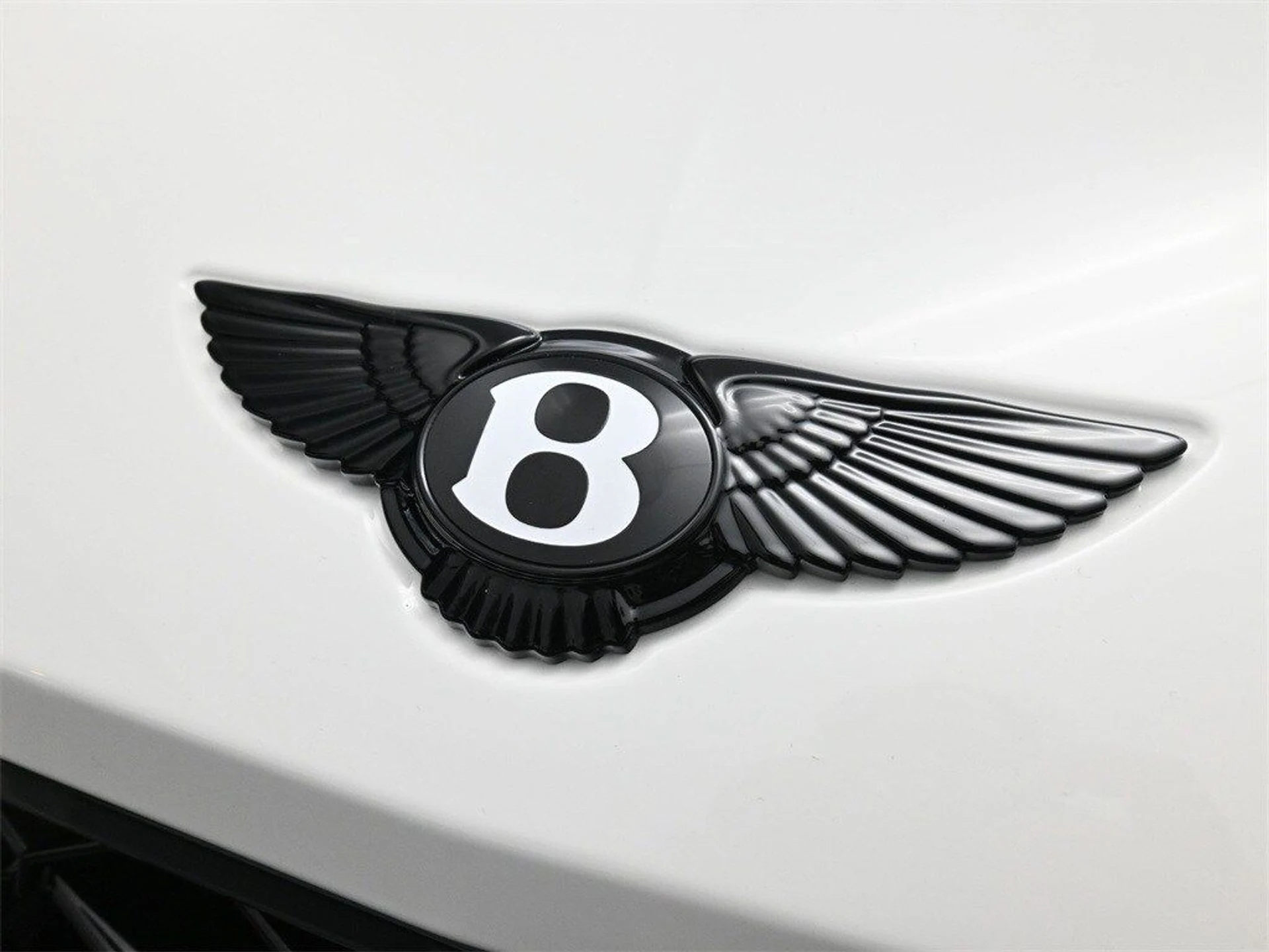 mph015_1788583206_80f2004ecf0c311b00bce001adec9aa2x_05cab3cfb1