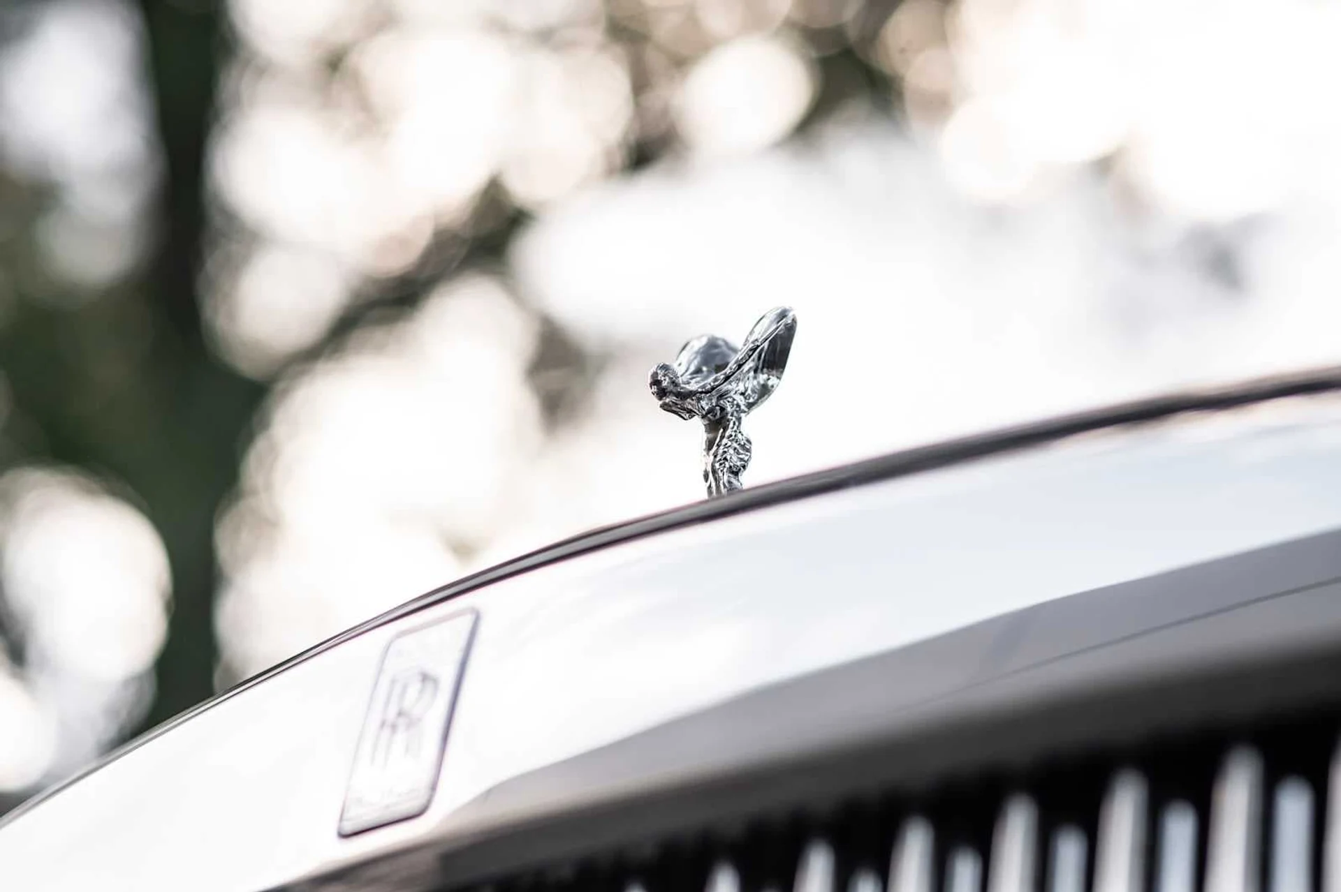 mph015_1902391183_7bed27b5aadf62860182646939a8c813x_bb80ade41d