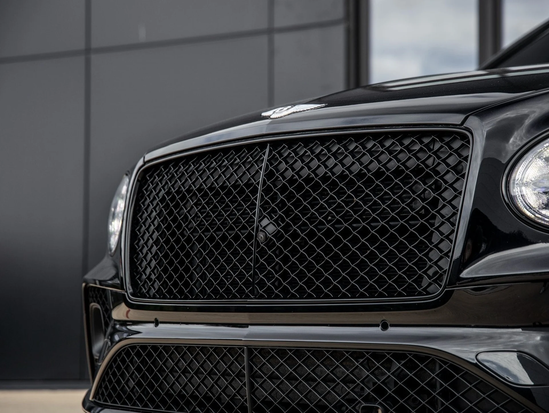 mph015_1910970611_16_df229195ec