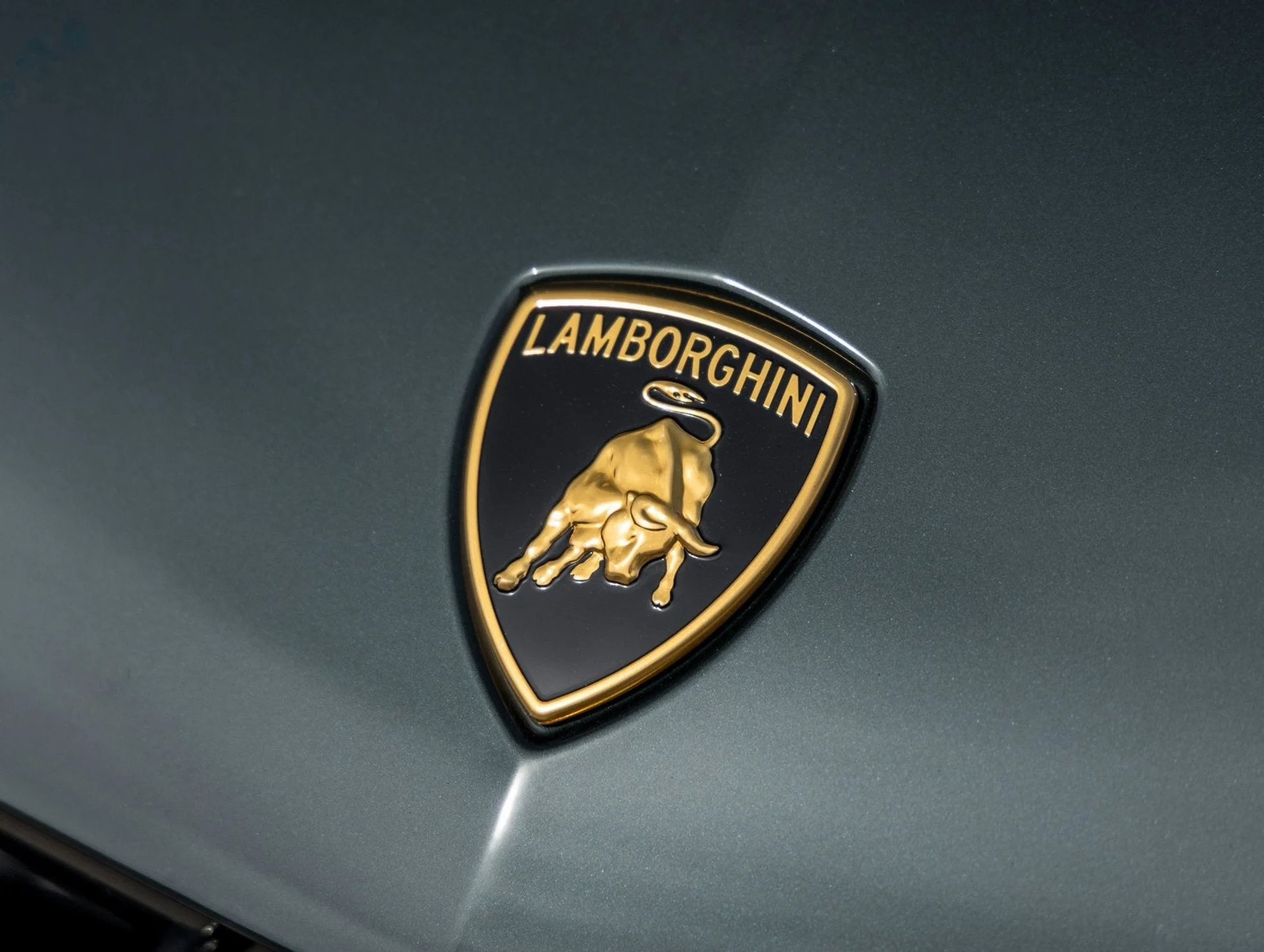 mph015_1966219069_16_5910dd79e2