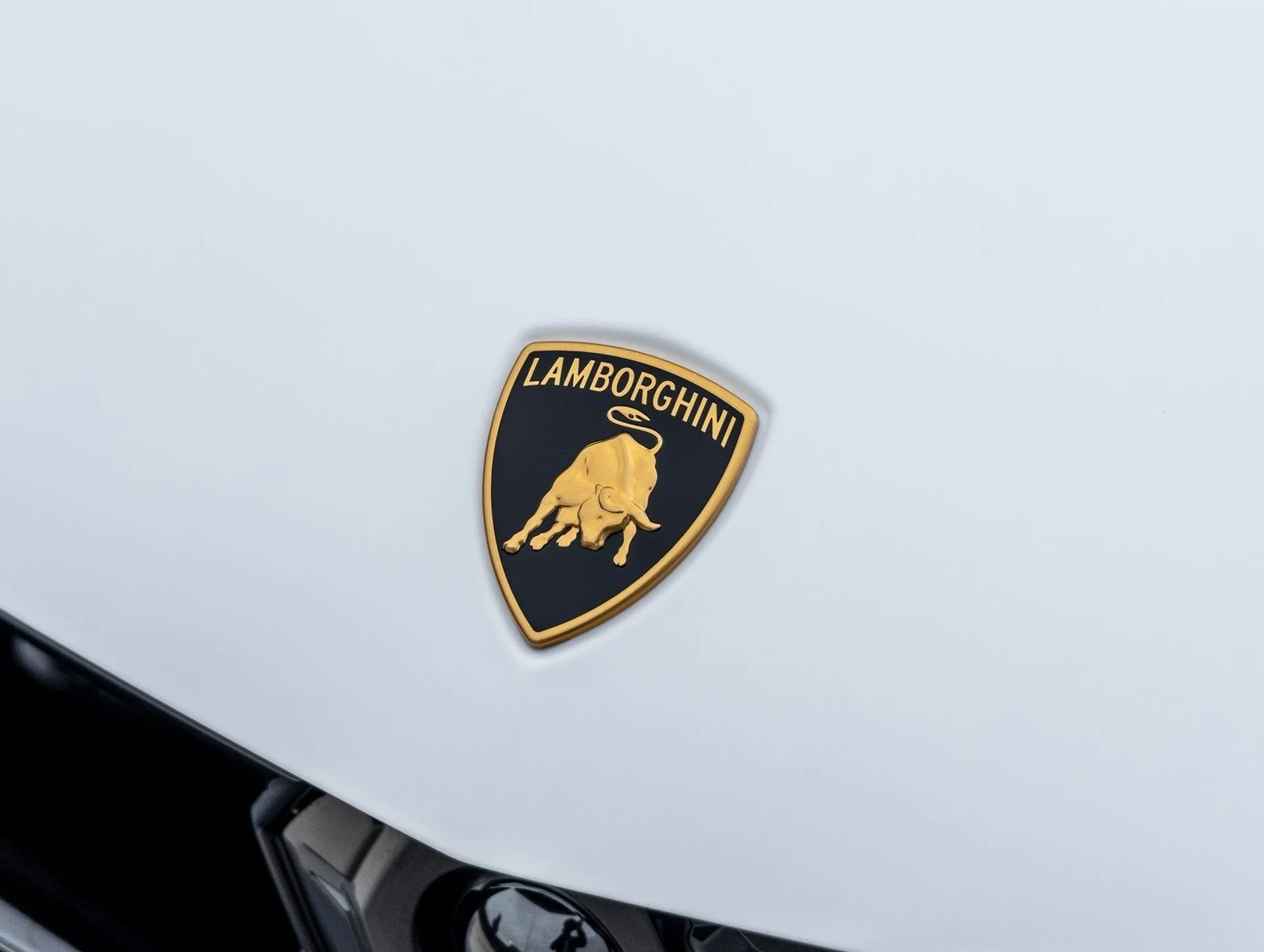 mph015_1977647560_16_a126cab569