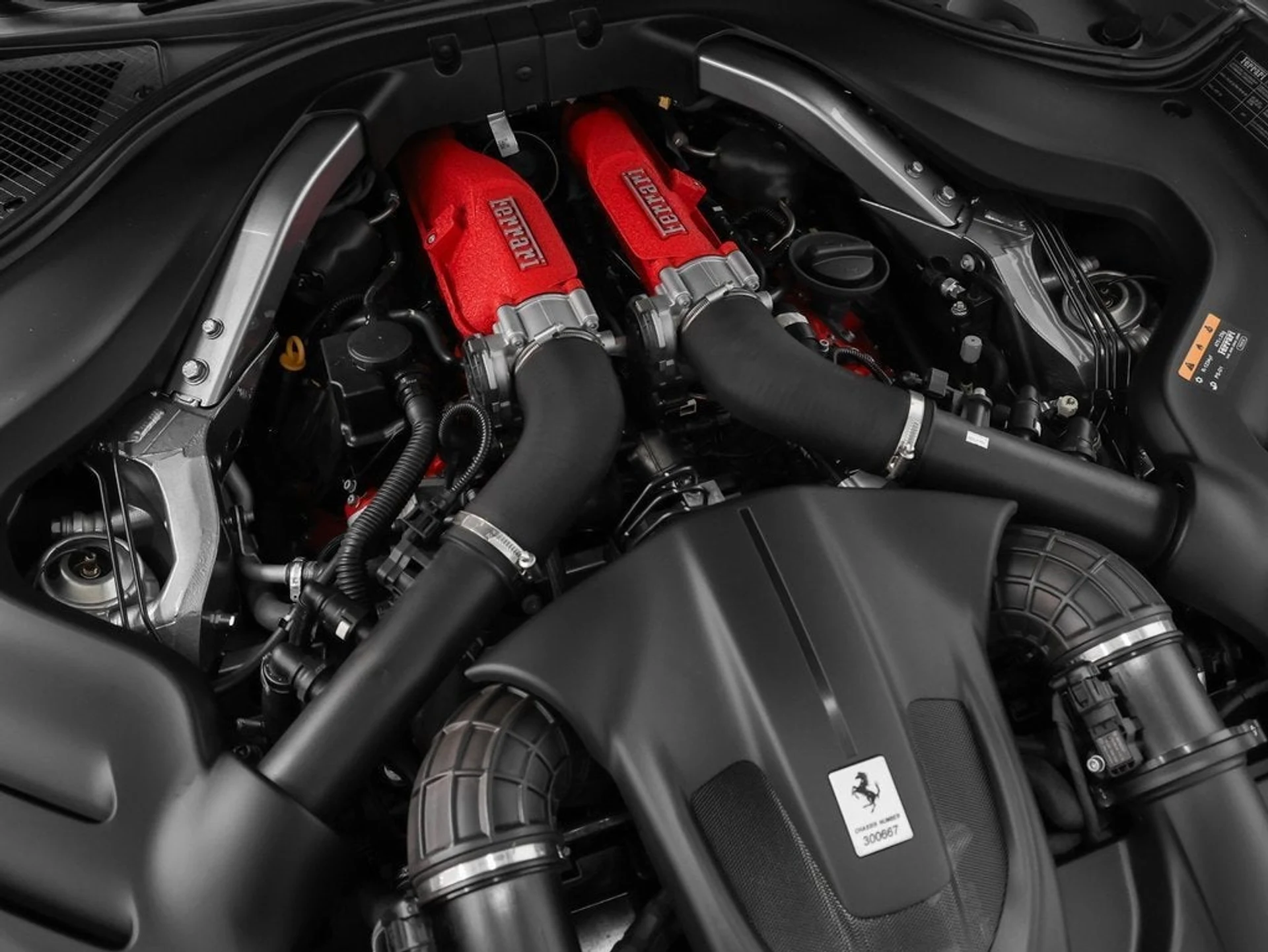 mph015_1980814316_16_bf0e2e4018