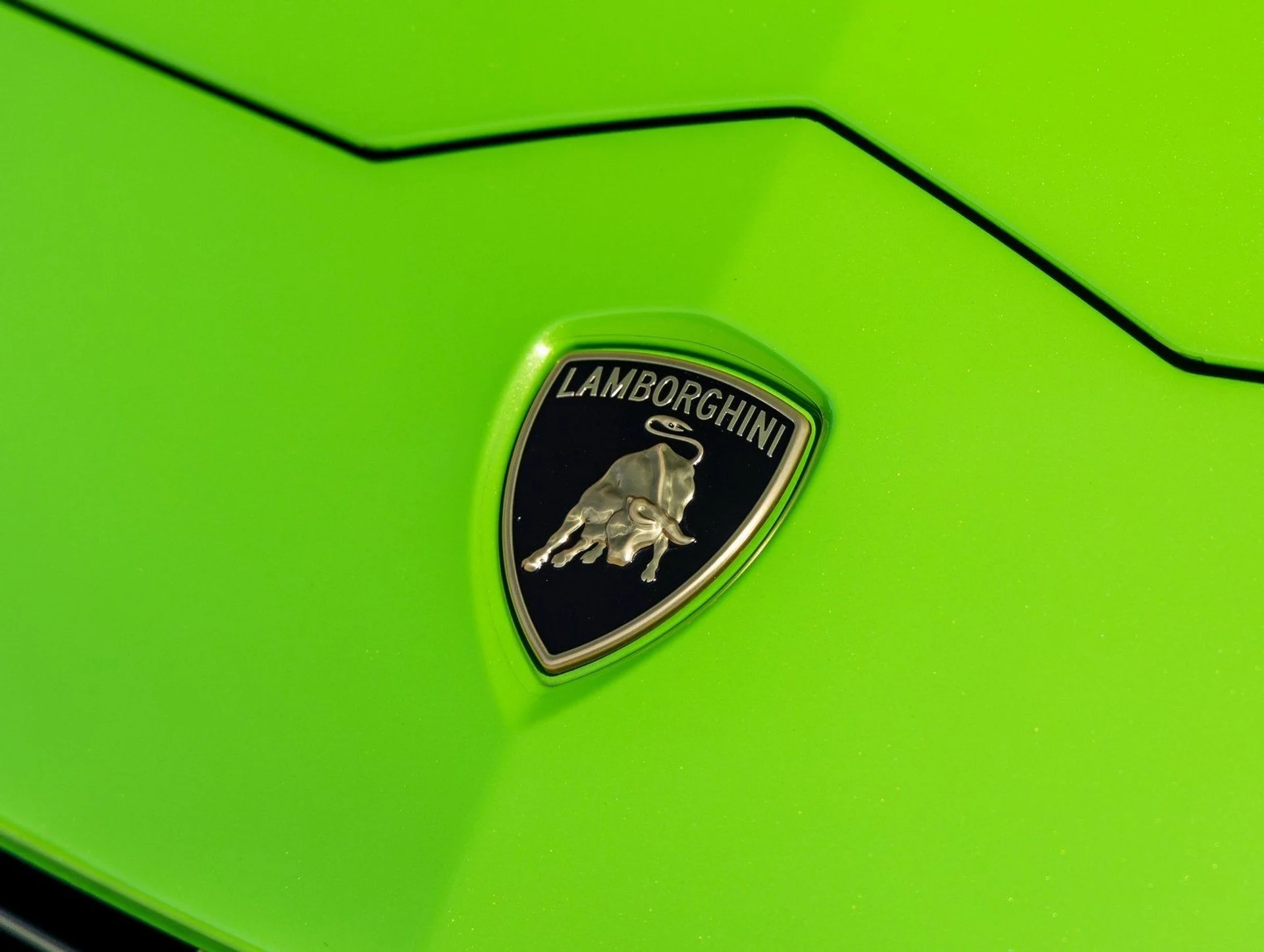 mph015_2181905831_16_58d013a8d4