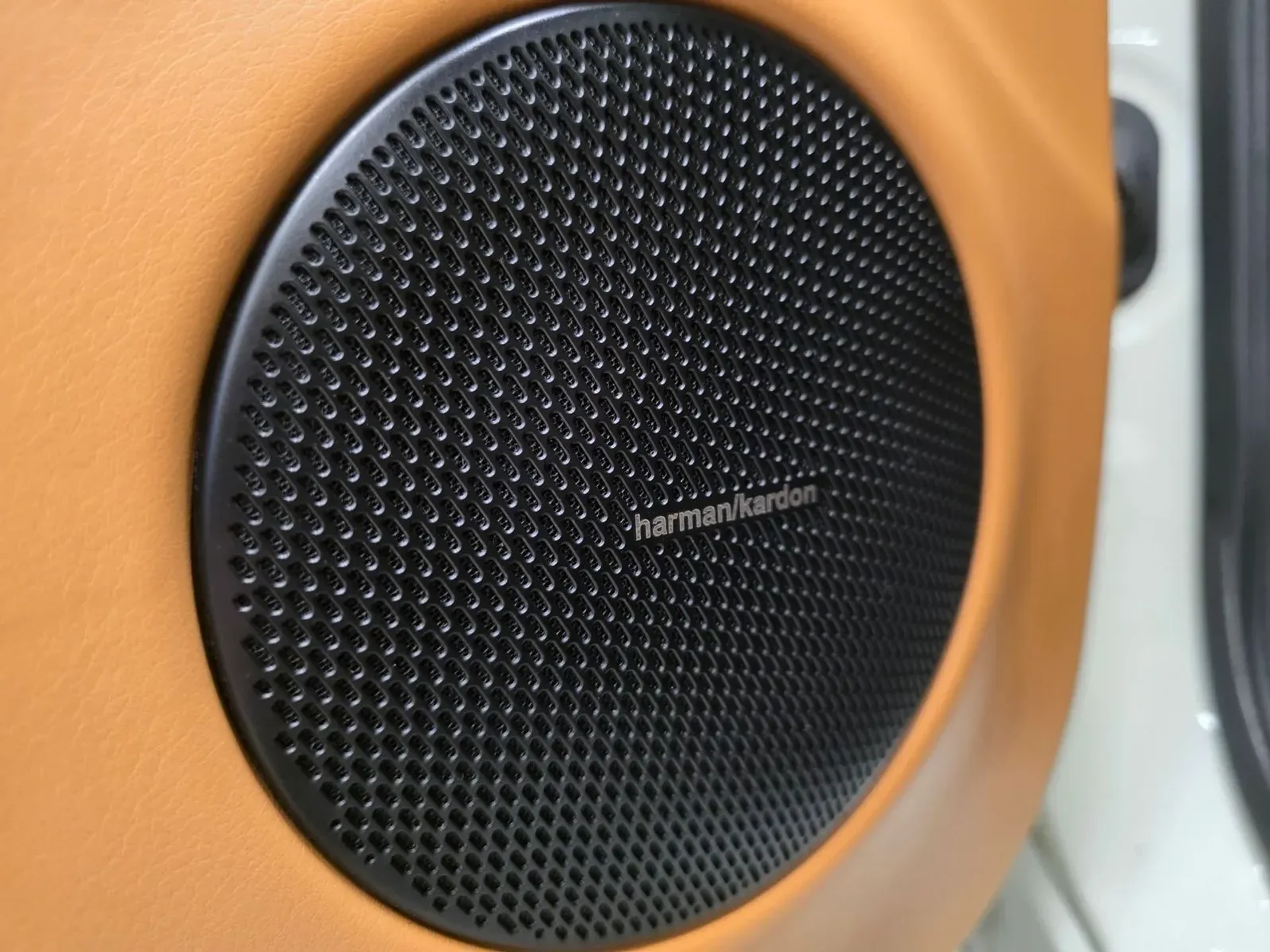 mph015_2186633862_2a72b6d8_a790_4546_beeb_83dbc8a4cd26_82510c25e7