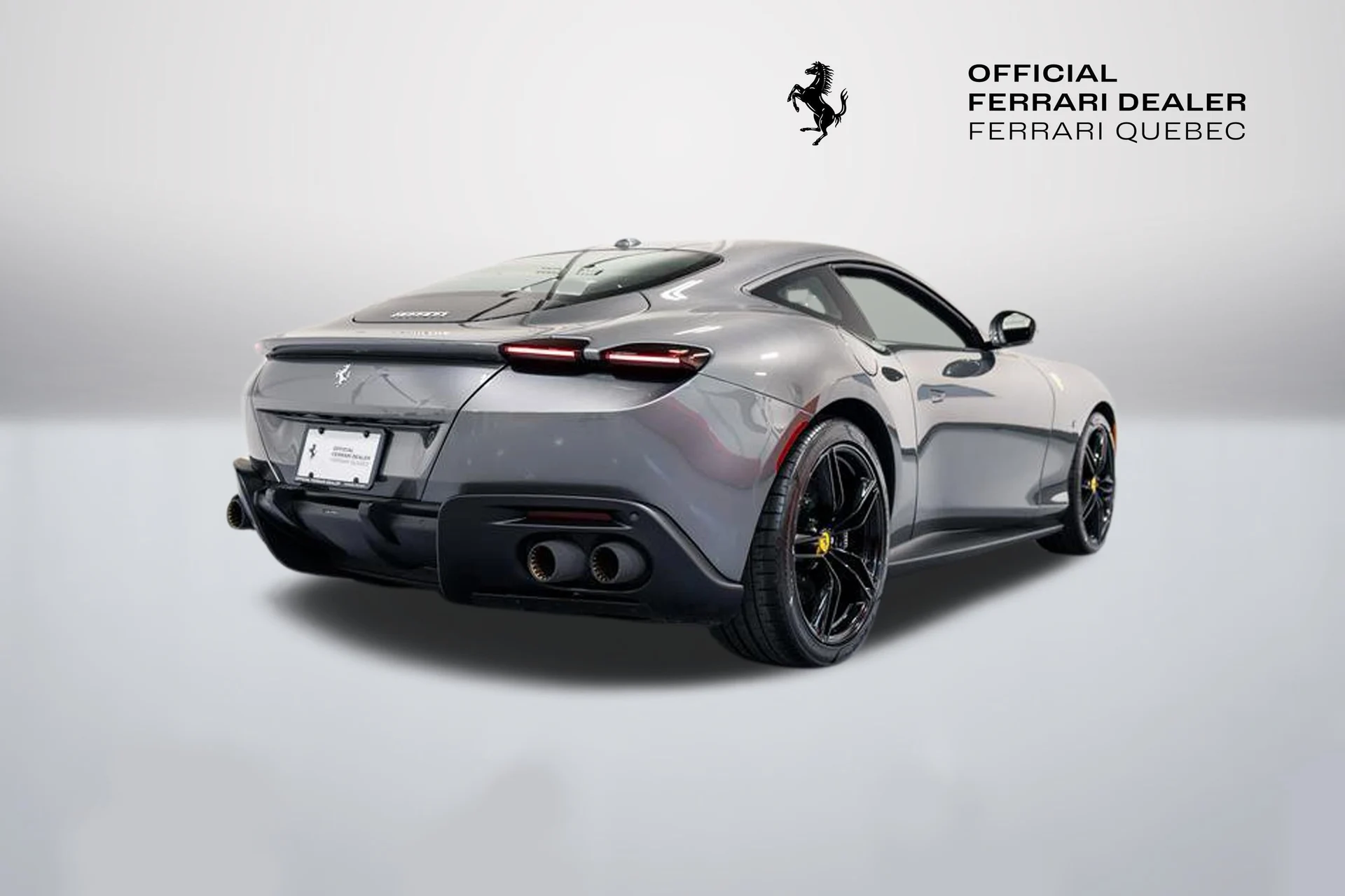 mph015_2189048488_56aa068449154434b9bc62f28c09826a_d31f848e10