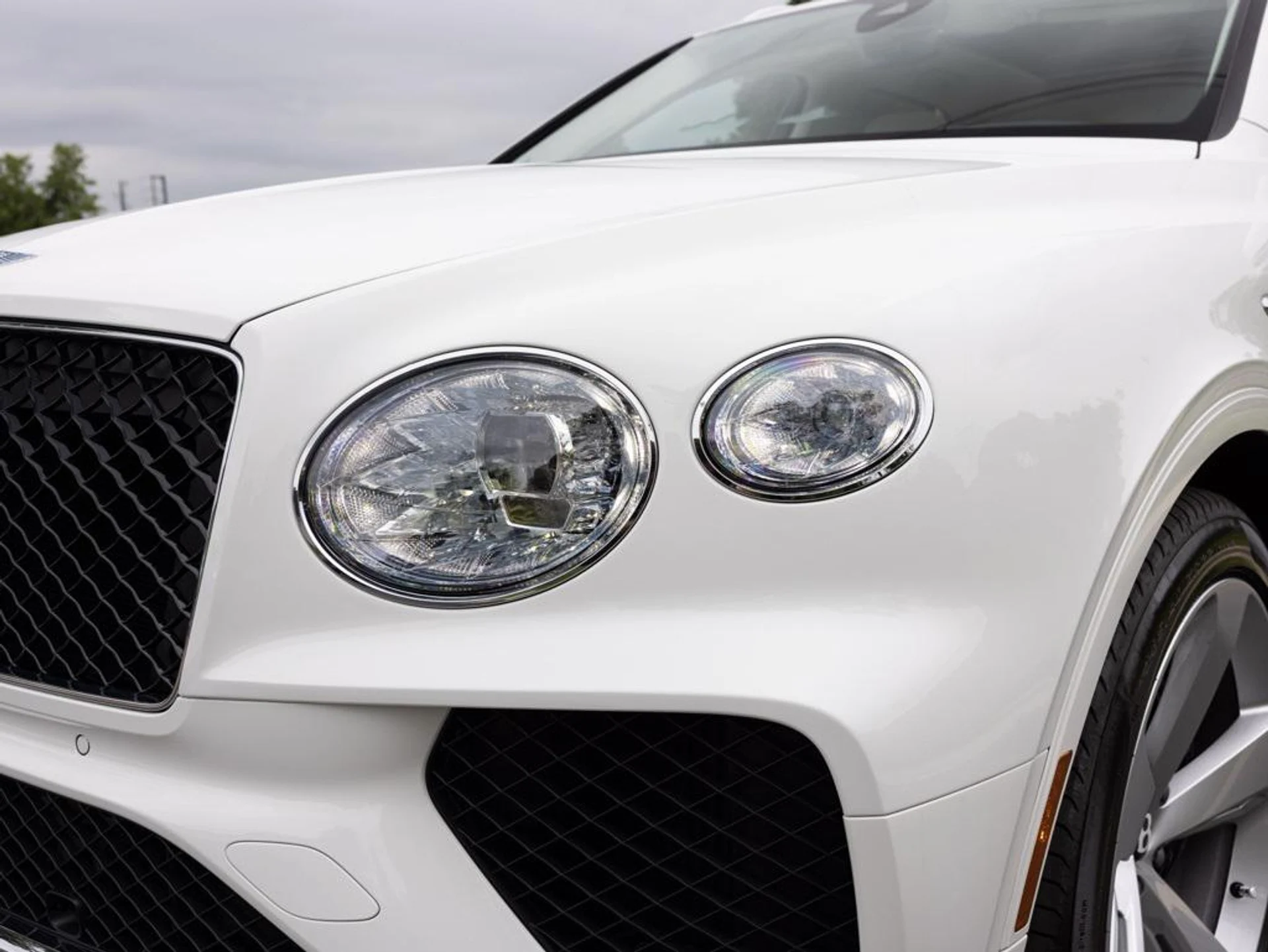 mph015_2357262941_444557824_688def9ab8367c48735ad9f8_7c0af2de2d