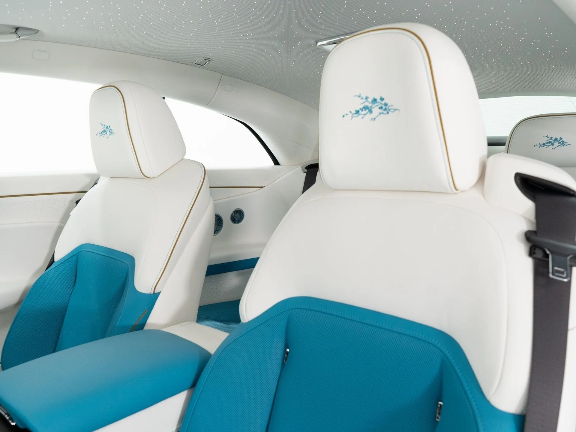 mph015_2504310744_5e7f518c681558d37277618a9936f931_d81989c1b1