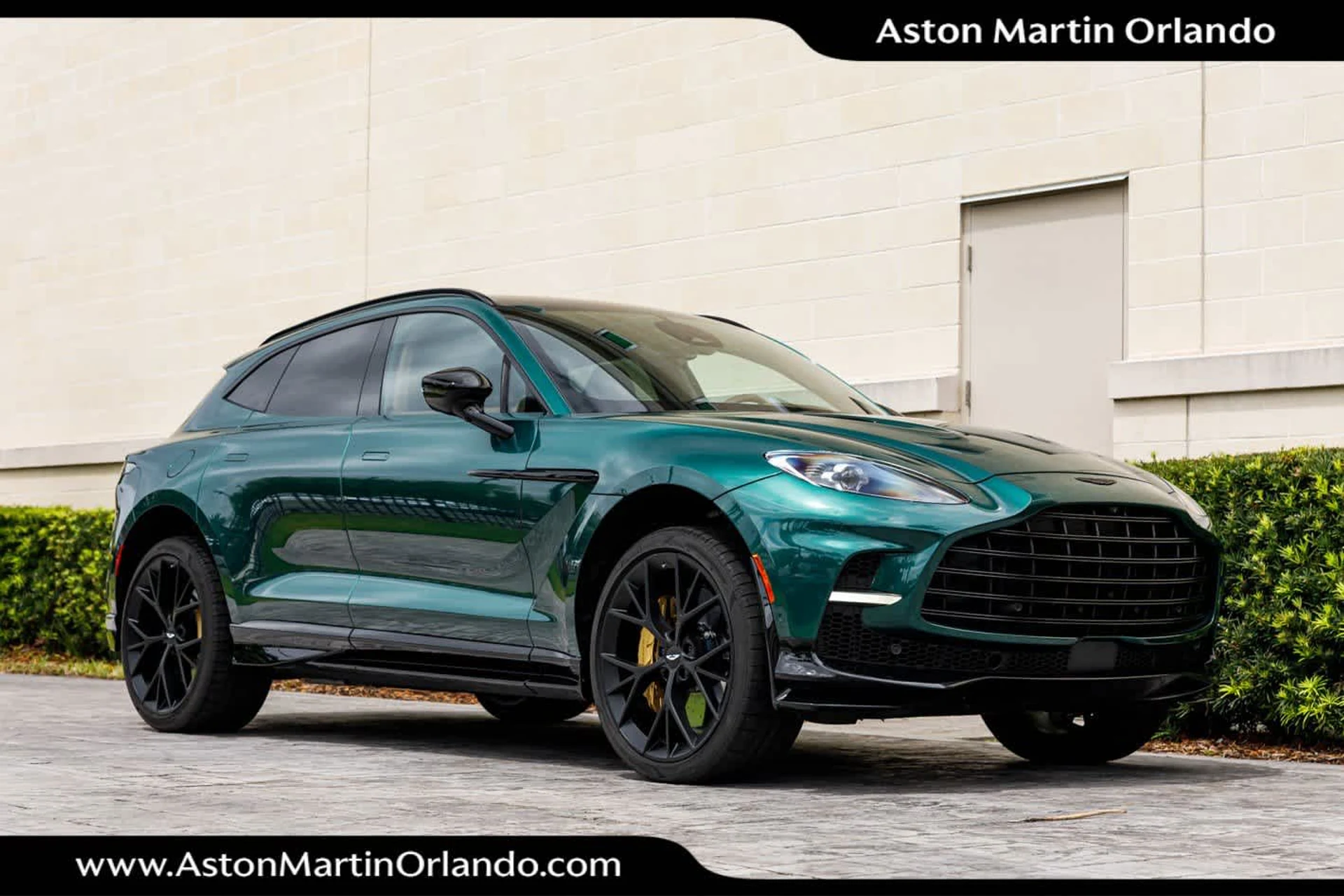 mph015_2661661087_16_af5dfb2d57