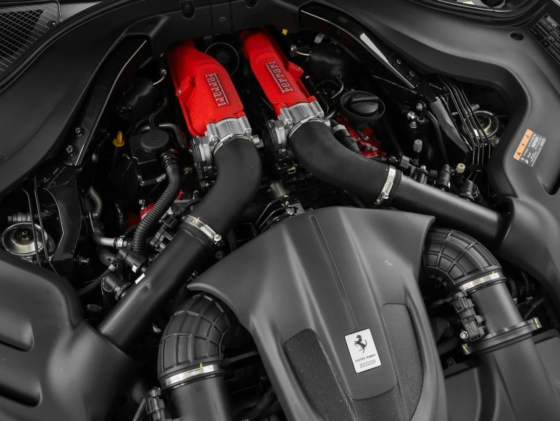 mph015_2664356225_16_5dadee5930