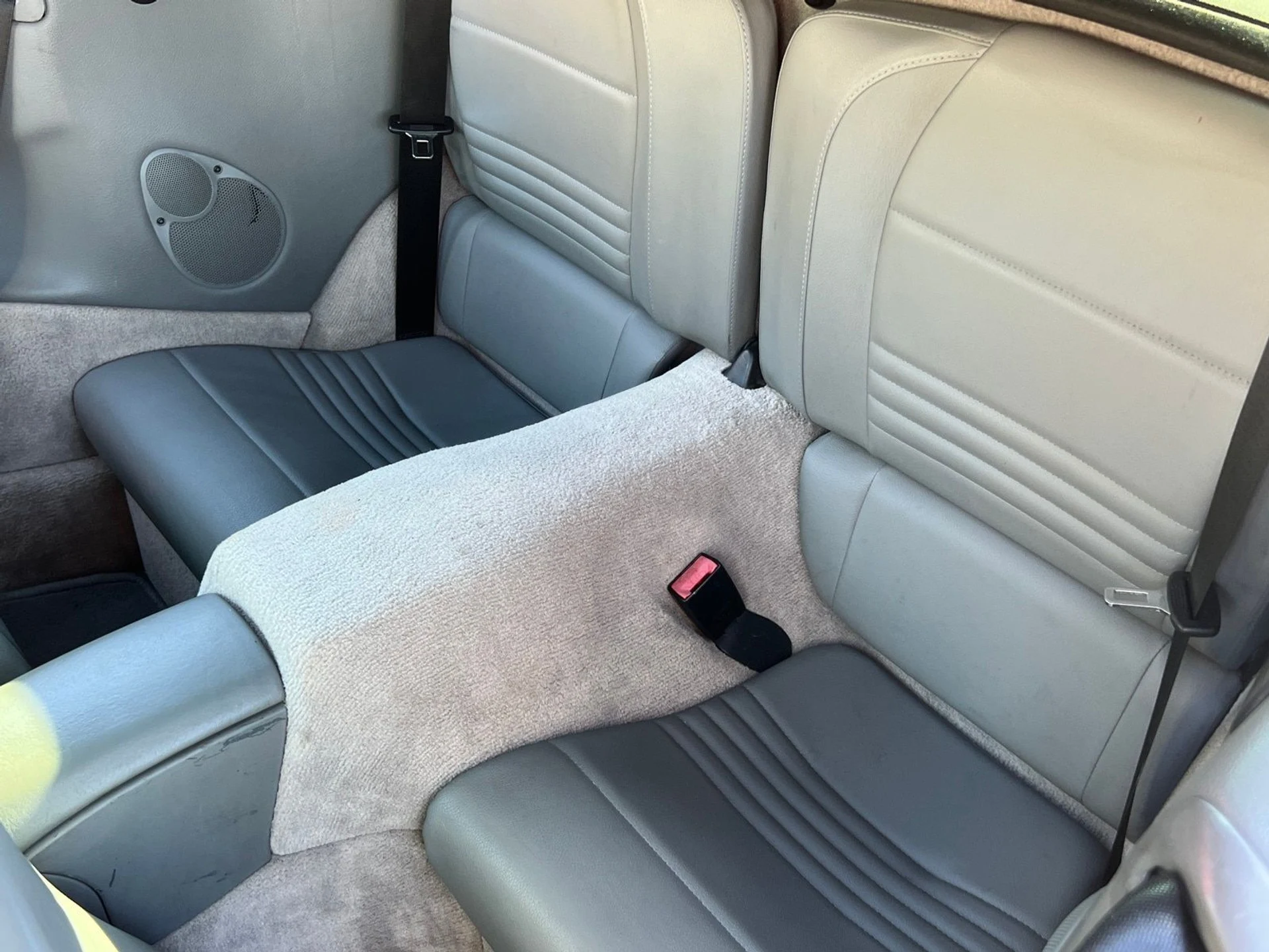 mph015_2845727545_a5f8334c008cd90b104d034a9e94eb73x_9bcfa95978