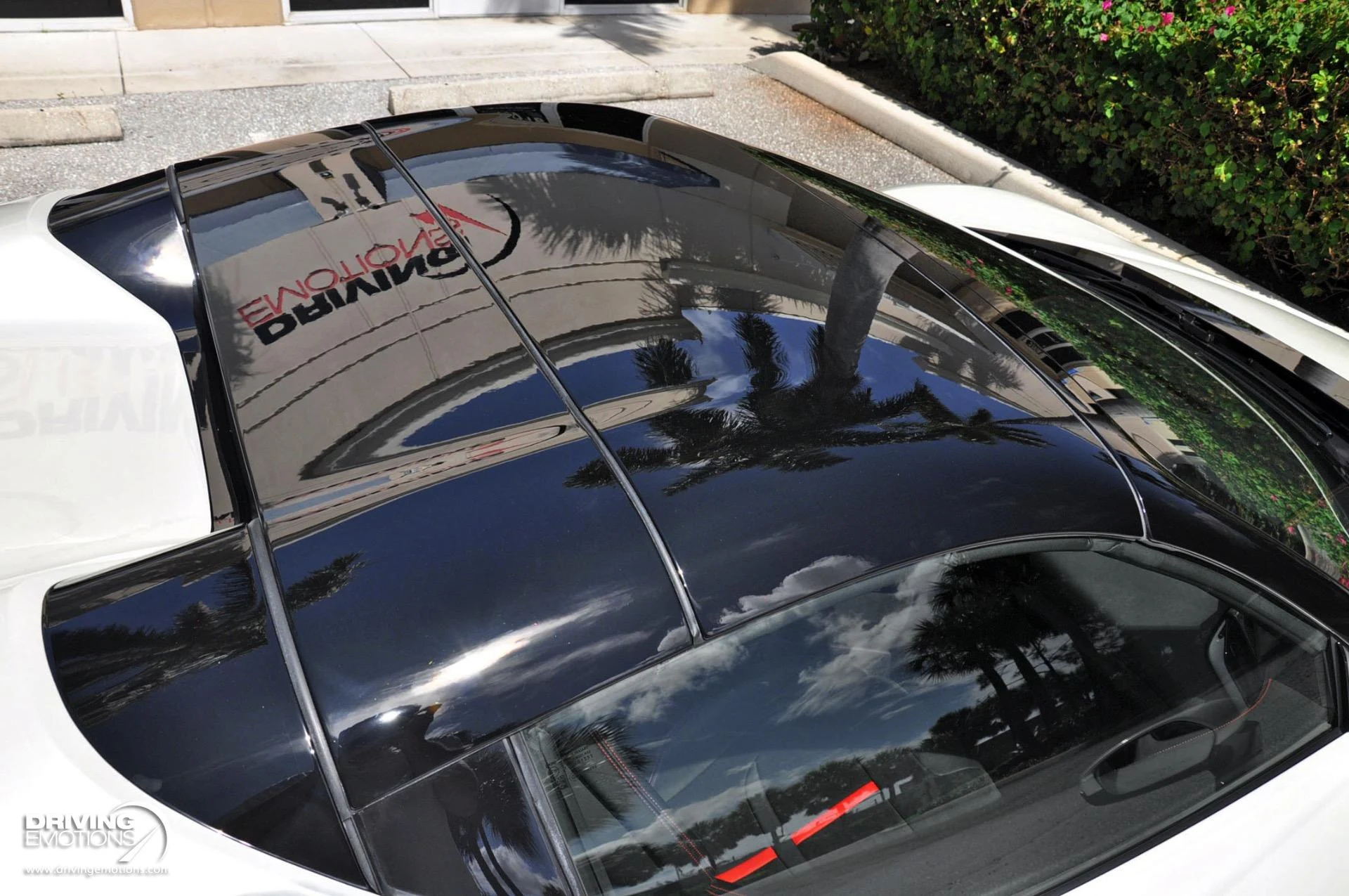 mph015_2887444886_859_p16_l_756754ff72