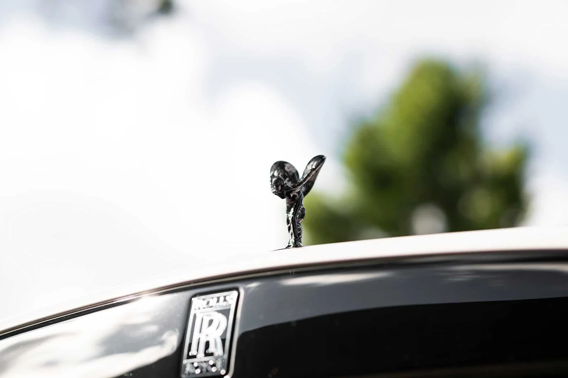 mph015_2888735022_24544d8be5eb5ea23816a0296b6fa022x_e4c279b9e2