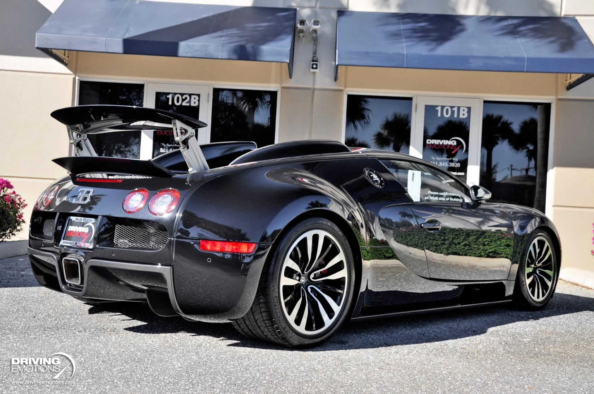 mph015_3038293841_479_p16_l_91d33fabee