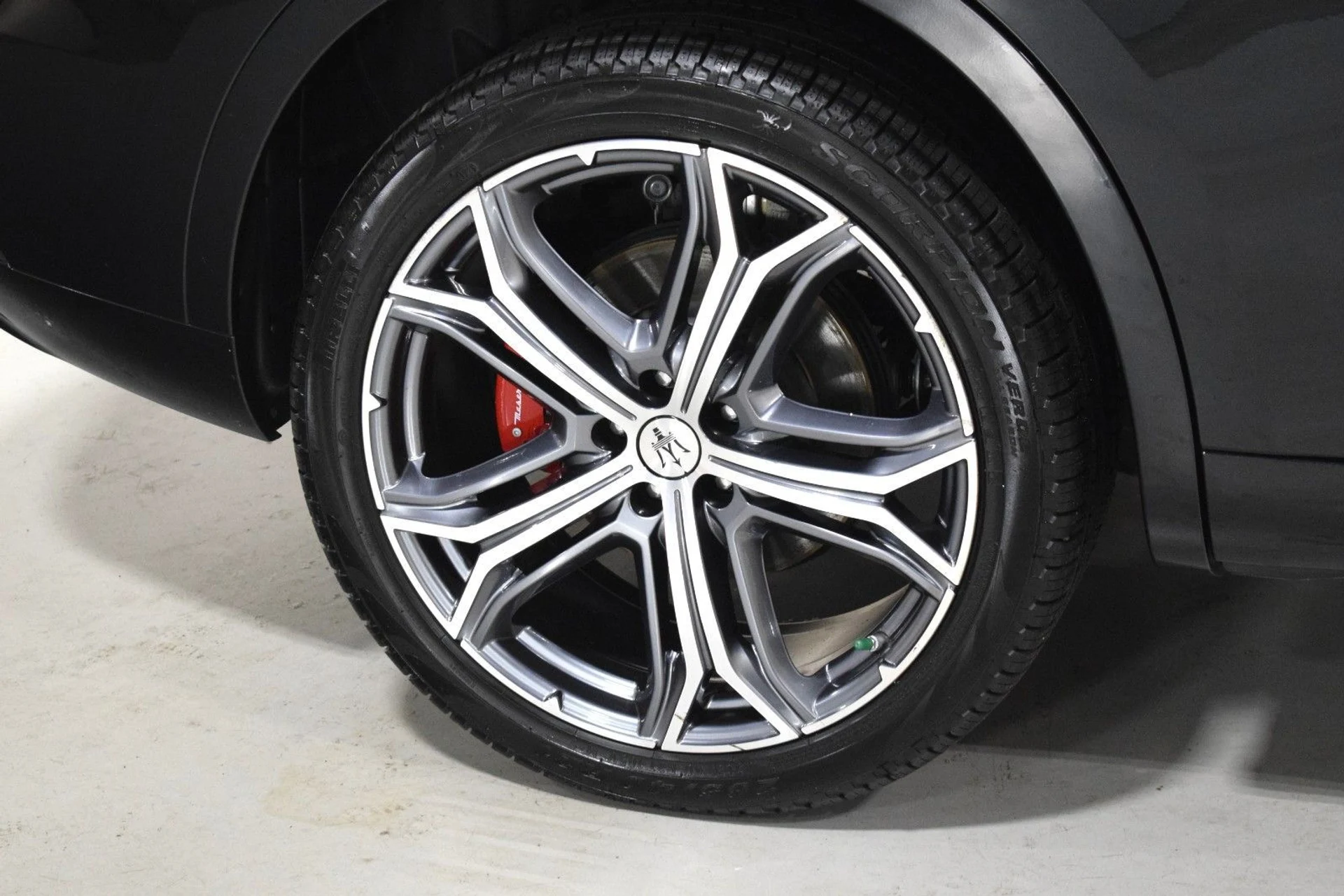 mph015_304770447_7a17bc52ad197055c58005c73d6ef895x_48576421b7