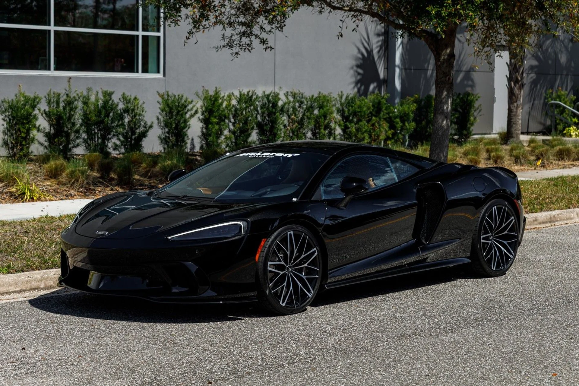 mph015_3082870594_470_p16_l_ed171c37da