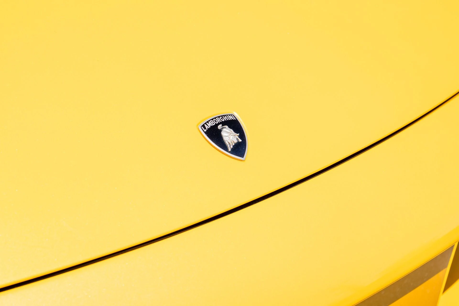 mph015_3099311350_Used_2005_Lamborghini_Murcielago_1750098464_162965ddf9