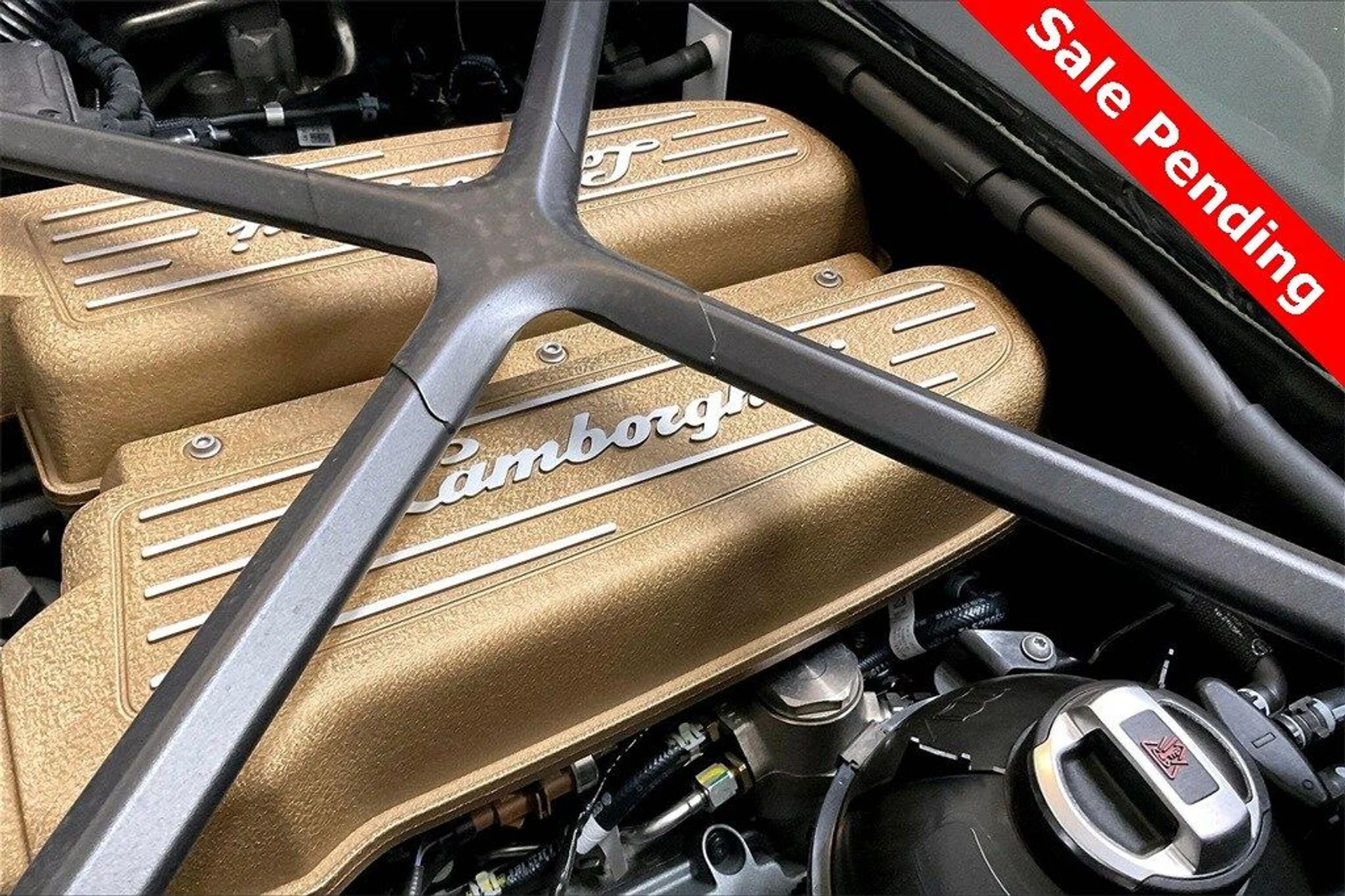 mph015_3172206141_c5df5f1ddae1b0addd8c11abbdf81561x_df78551c9c