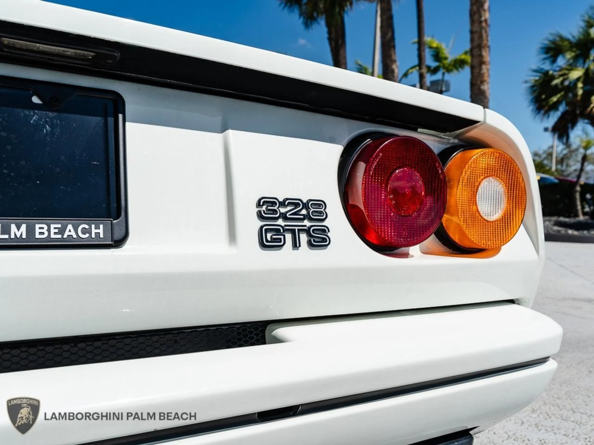 mph015_3180650146_e9d03cb3a3365a9902af1314d28542e9_4979c680c7