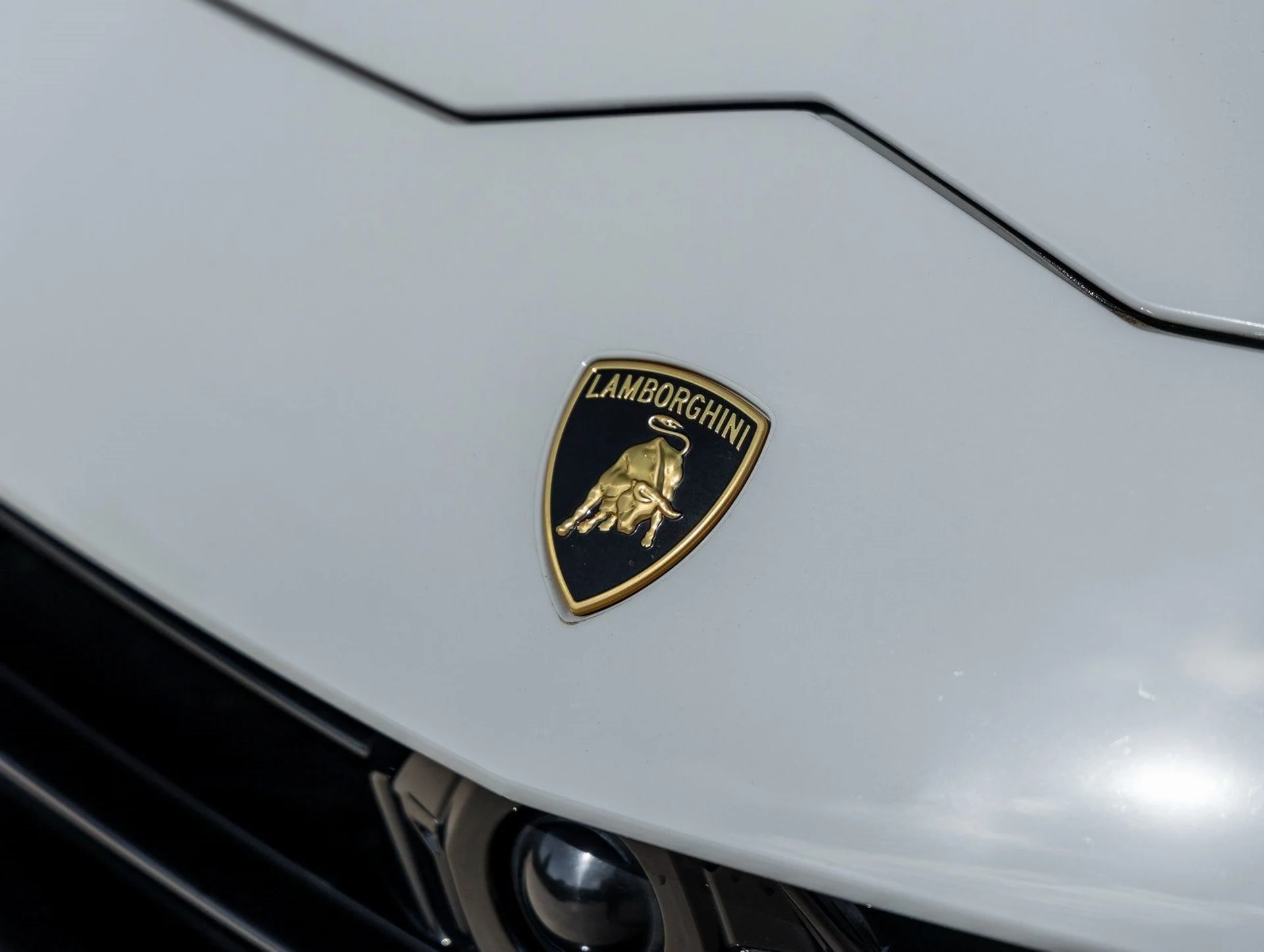 mph015_3181935395_16_9987071aeb