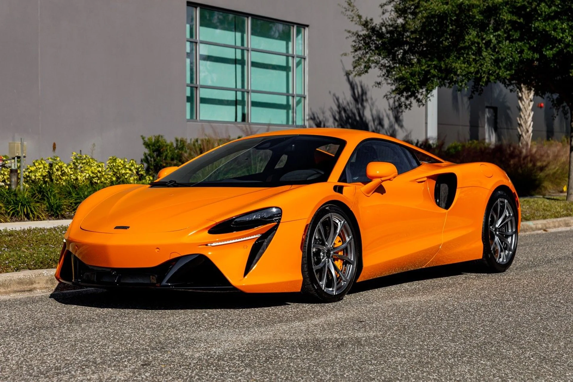 mph015_3209332272_617_p16_l_0eed8f0c9a