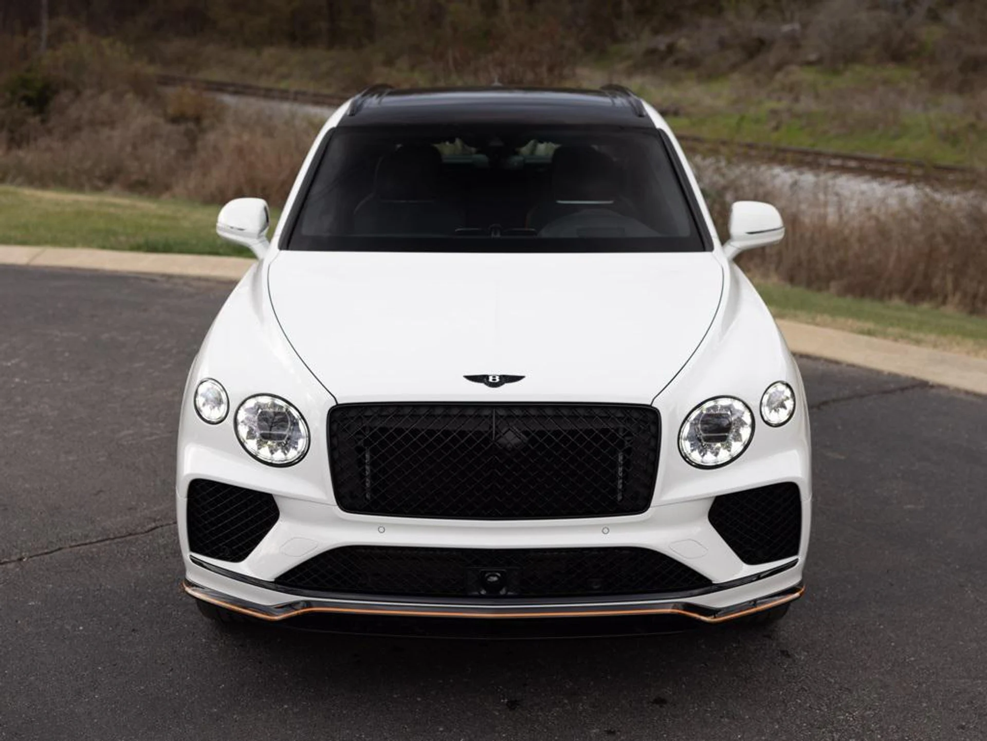 mph015_3215455499_480417655_69442333815a036f0aabfc12_45a61f623b