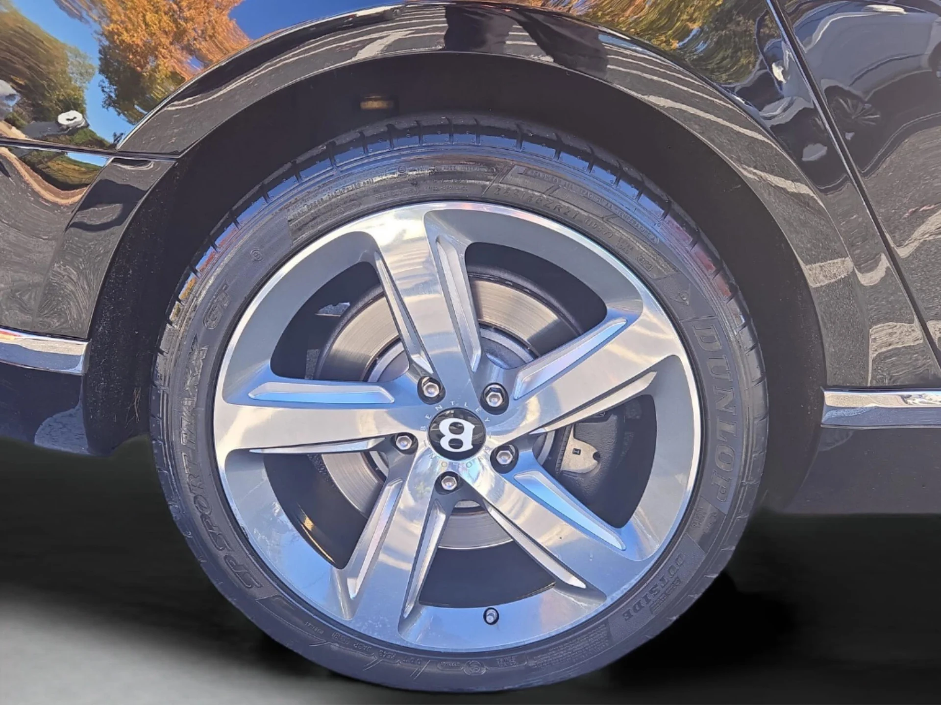 mph015_3223316452_b079eb3a8c44b60d91cd941ceff6c25dx_52b6ff9e01