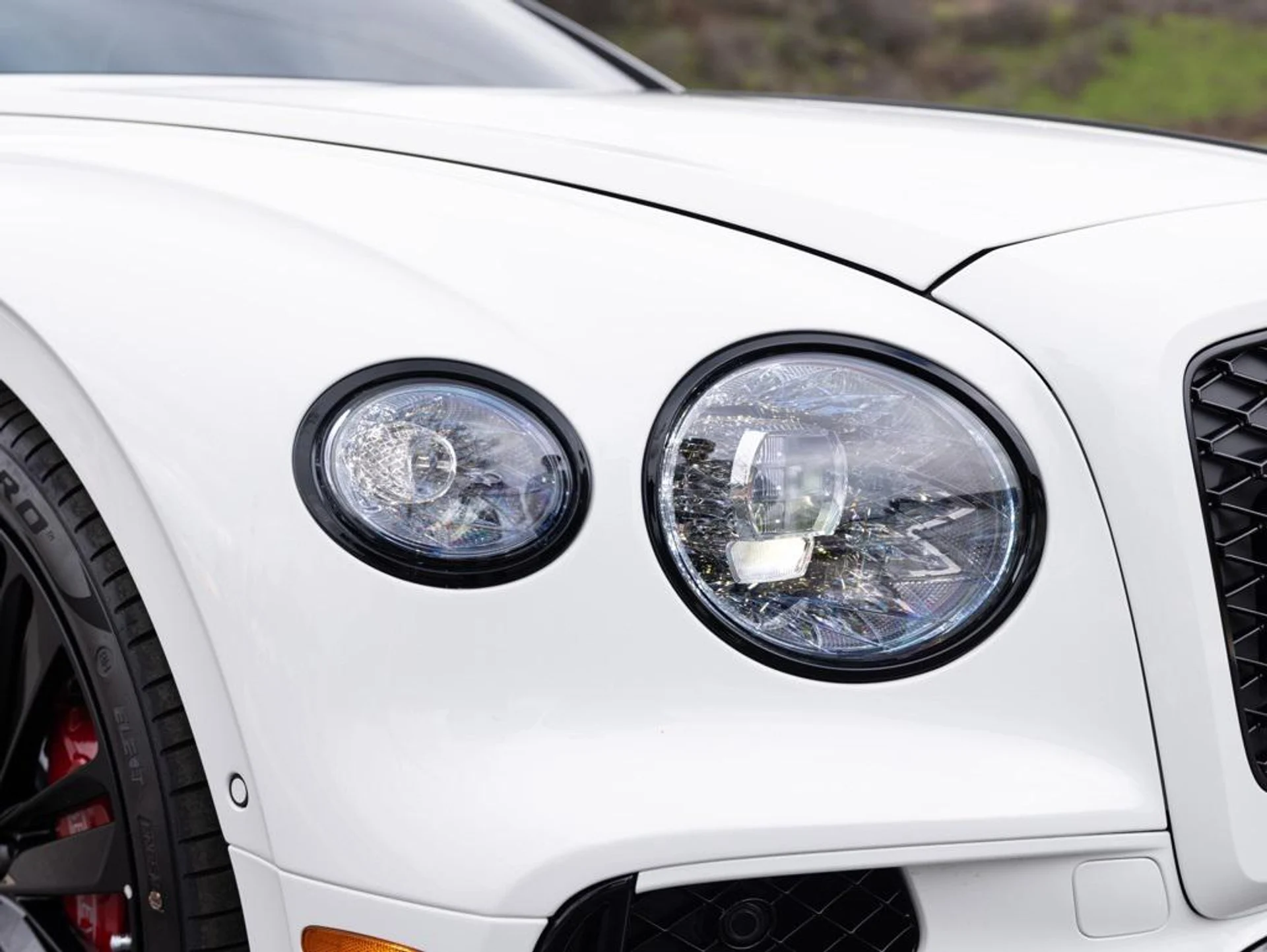 mph015_3255654969_403809833_67c234256b5617b02de637a5_b53a66b12e