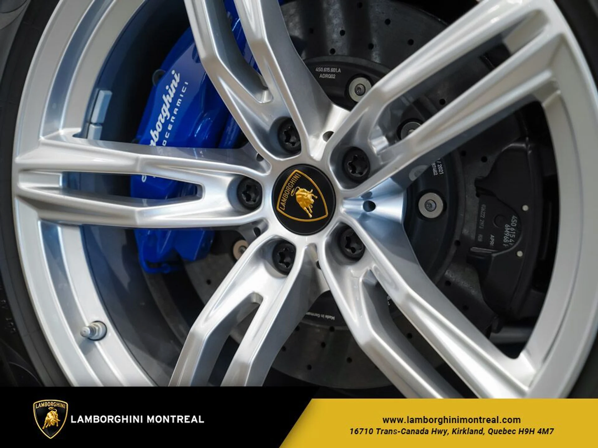 mph015_3345150074_6478a422eaef54_09622036_jpg_v_1773863535_984f4335d6