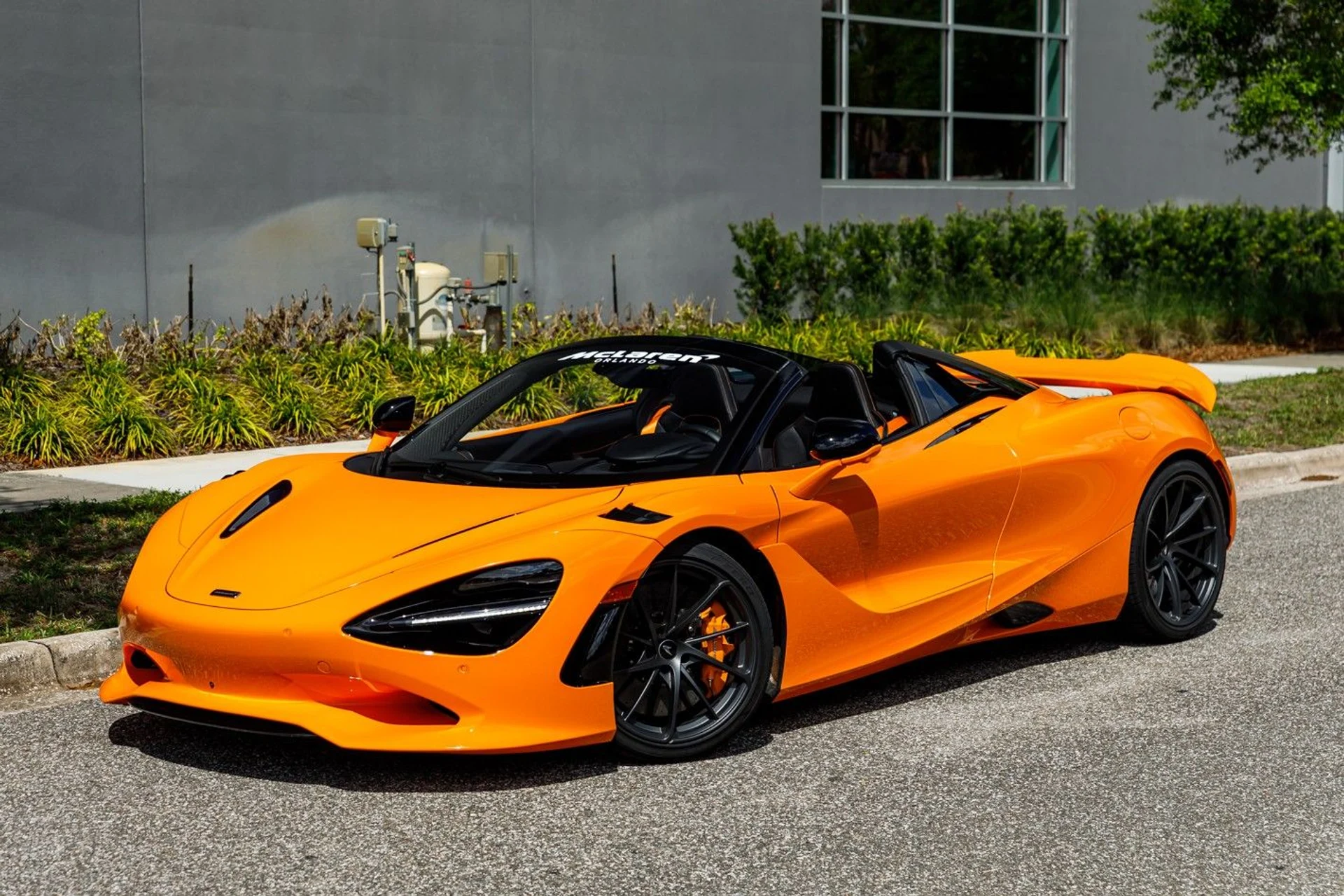 mph015_3346183815_515_p16_l_90b7469691