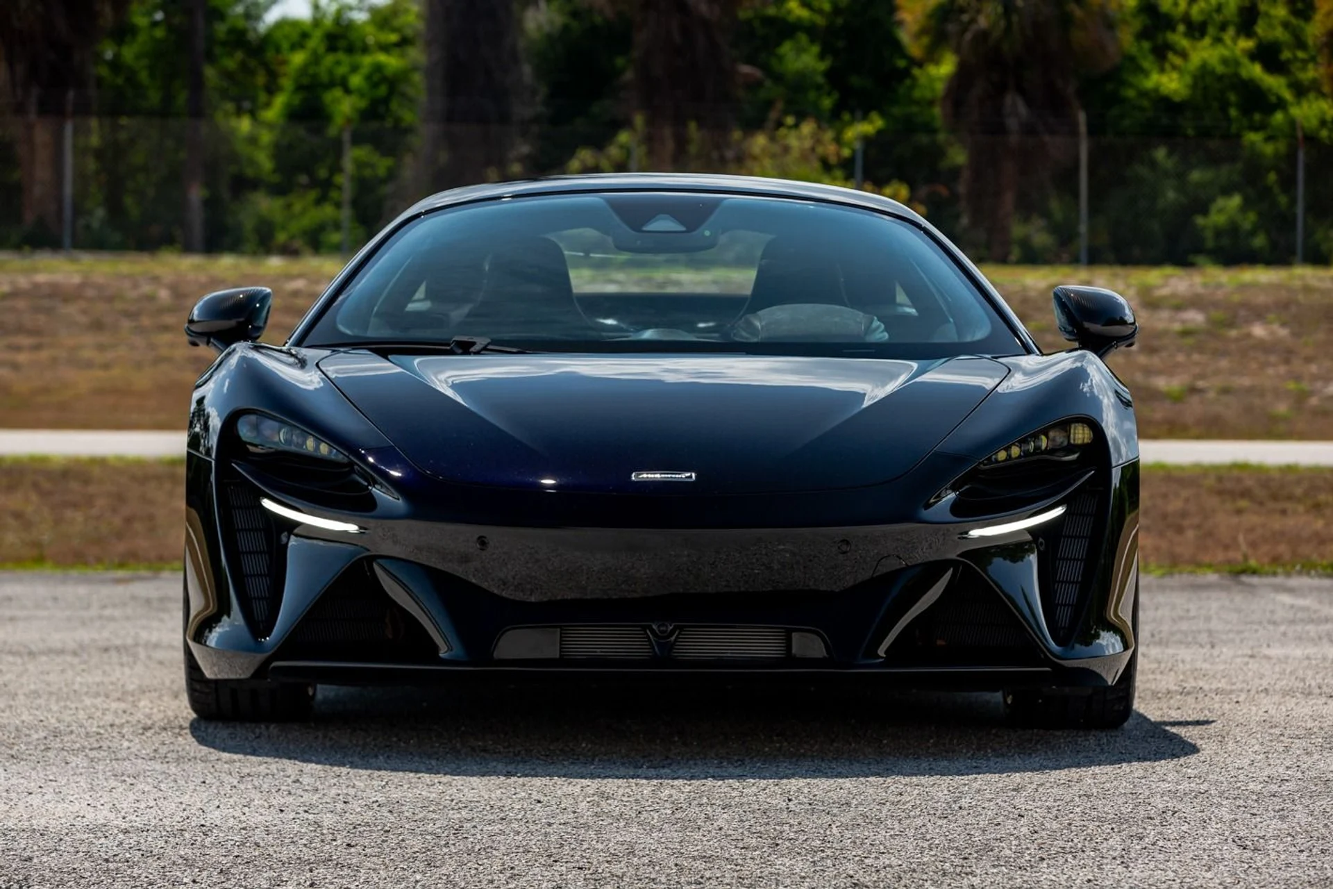 mph015_3423229355_396_p16_l_9520dfdd19