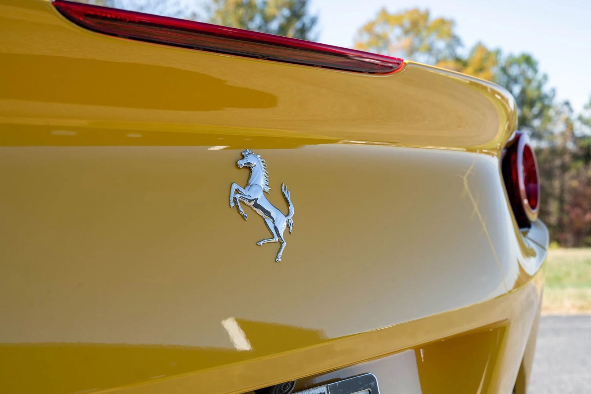 mph015_3428761617_452a12da5923416385300743aa86adc0_81e6544fab