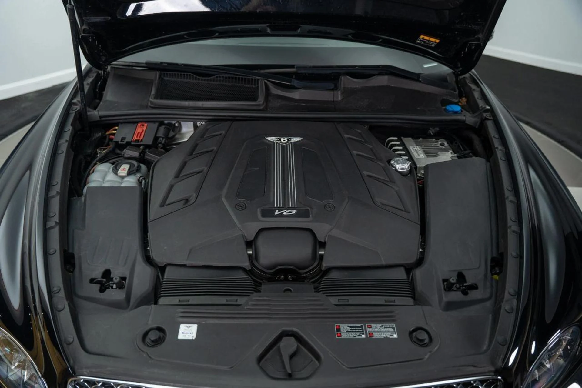 mph015_3438575752_3073a897b68c123b9456bae00f0ea98e_2786d158ad