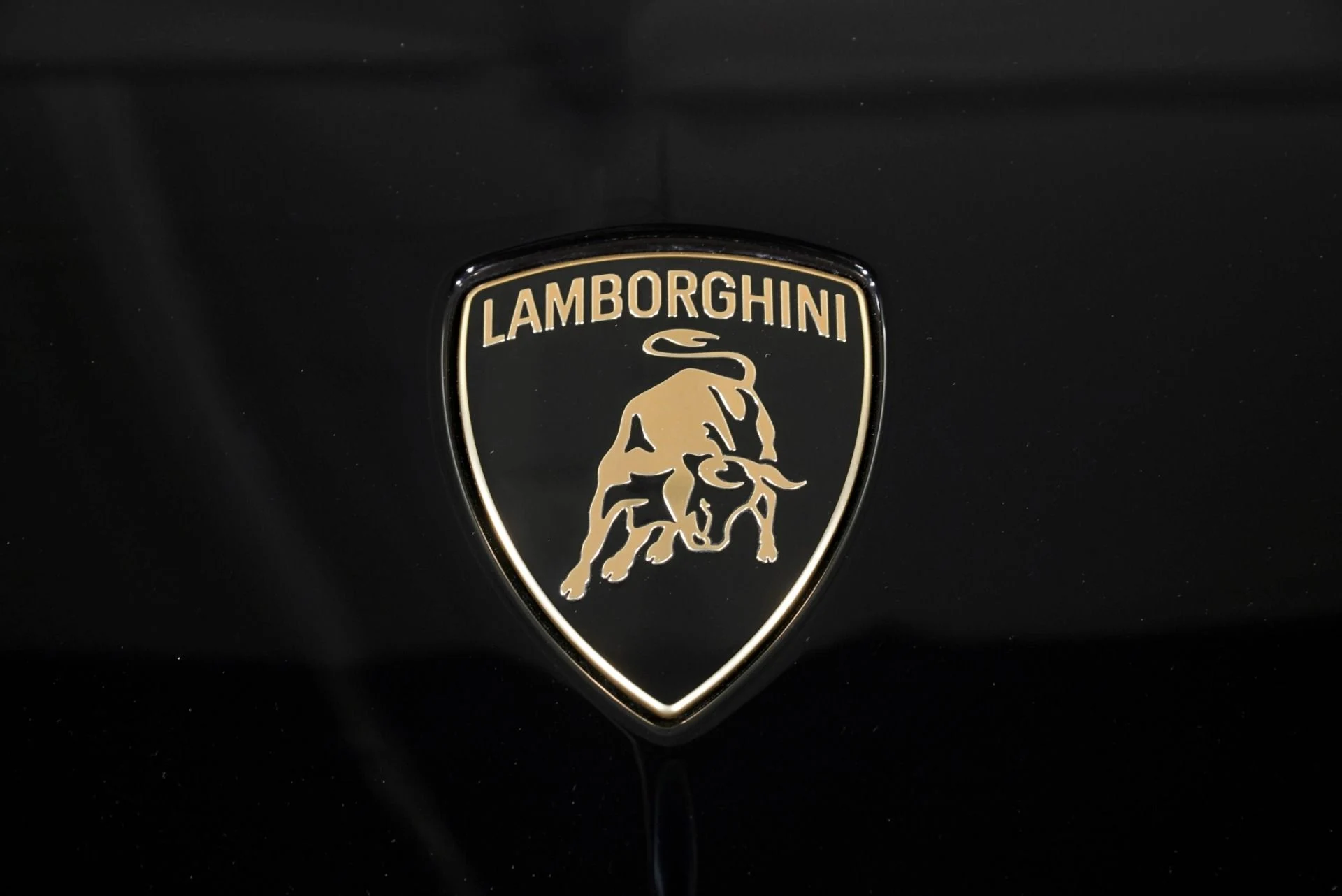 mph015_3464002052_New_2026_Lamborghini_Revuelto_1776293833_fc84308338