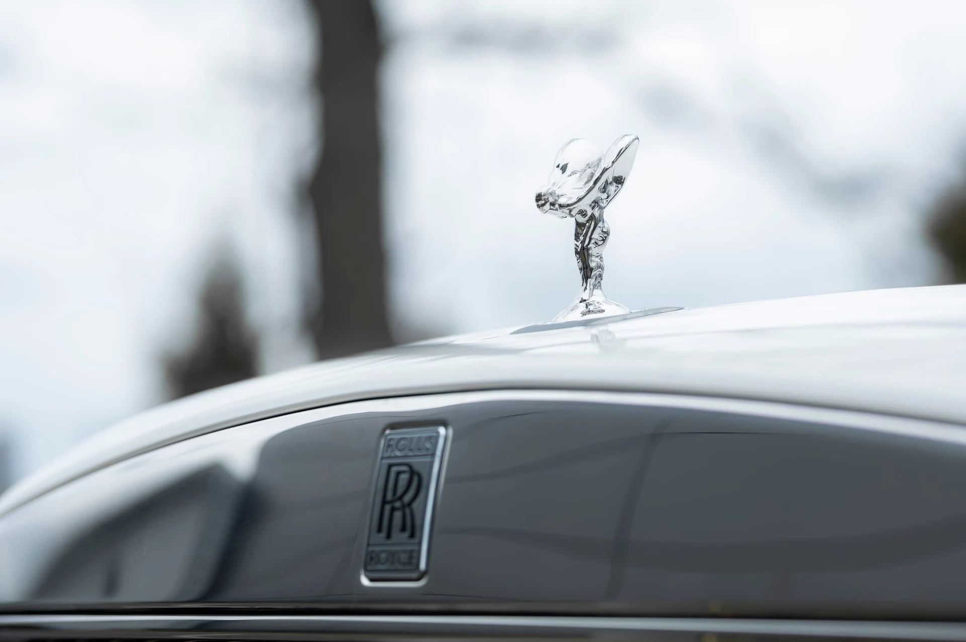 mph015_35286517_91fb60d76ade411088404739c645df1d_4b9560f3f8