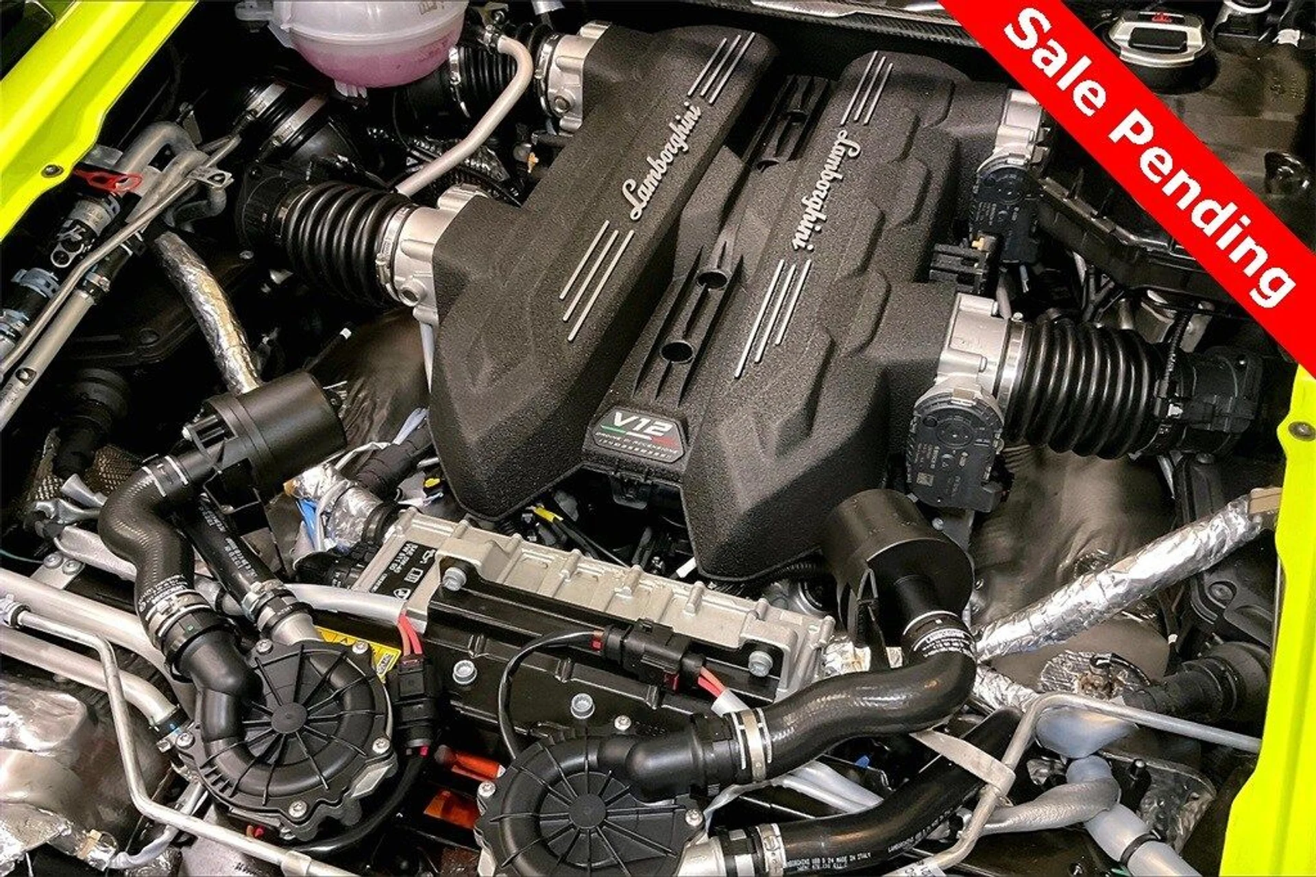 mph015_356969231_f62d9663ccf5172a4b4e196e3c86c7b5x_bff73d97e9