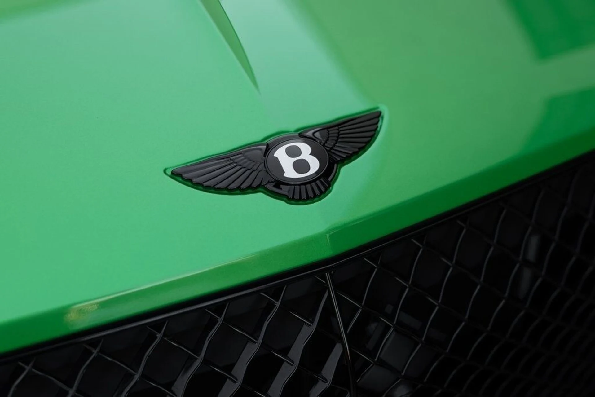 mph015_3579595302_942a5e43a9374358f77bea7239d83ffex_29a0d5024e