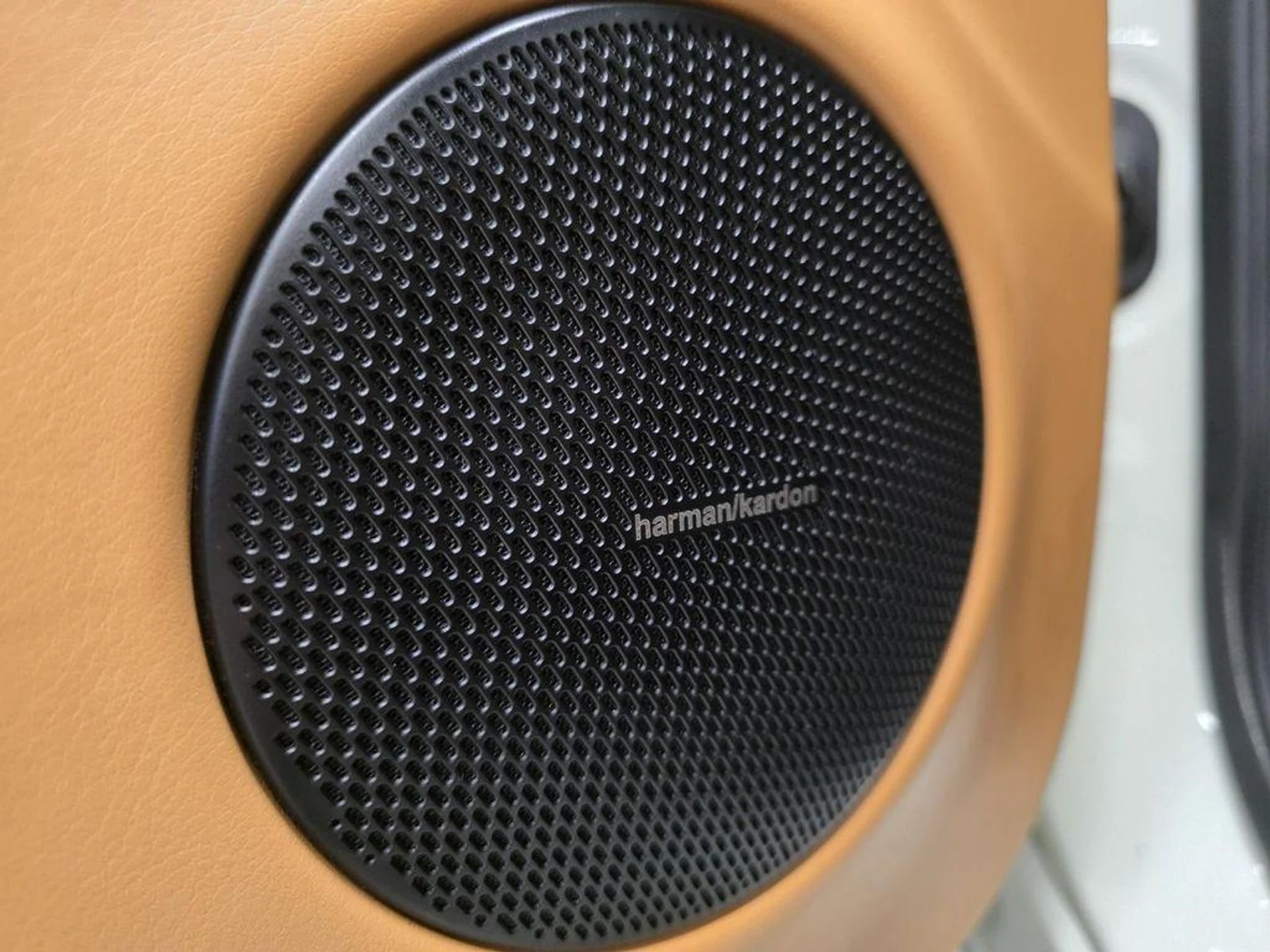 mph015_3763211891_g_YIU_4j_Bt_Kf_Pb8p9_L_Fo41_Znm_C44_fb87427405