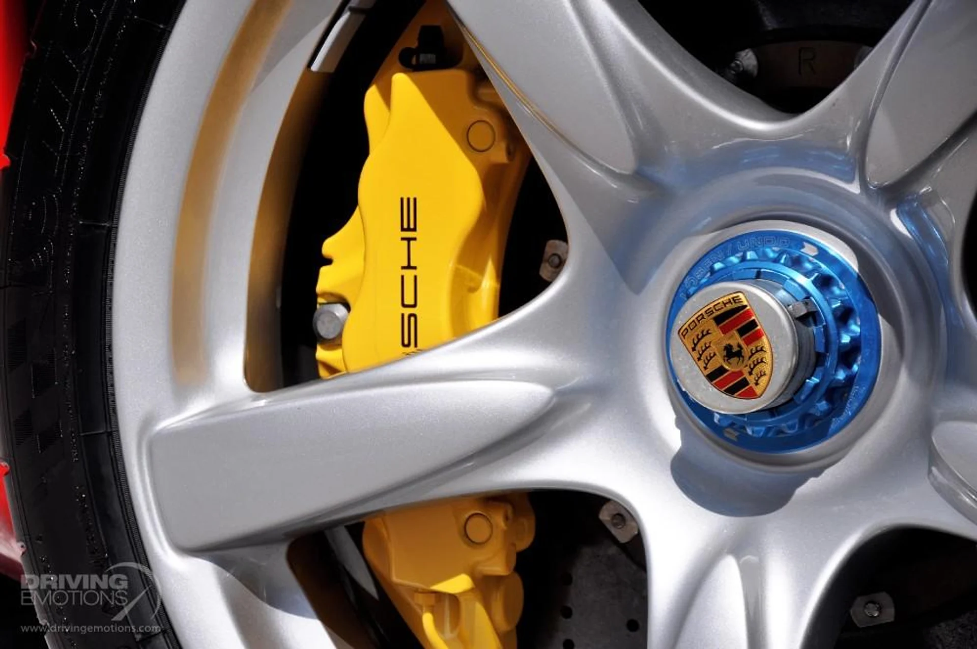 mph015_3879422917_186_p16_l_b1c0cac9f2